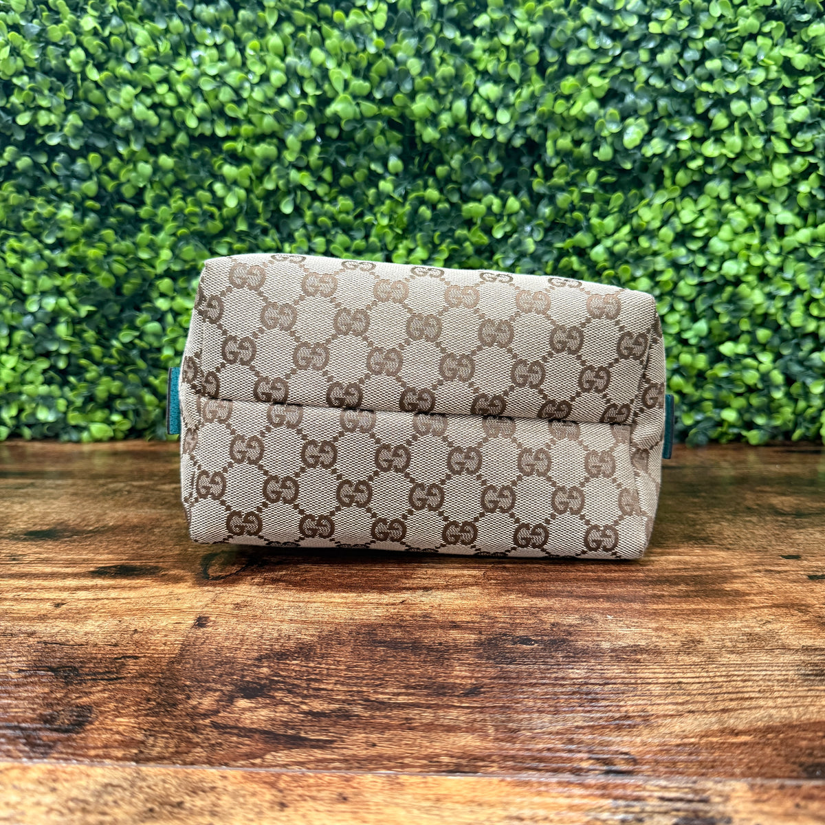 Gucci Canva Brown / Aqua