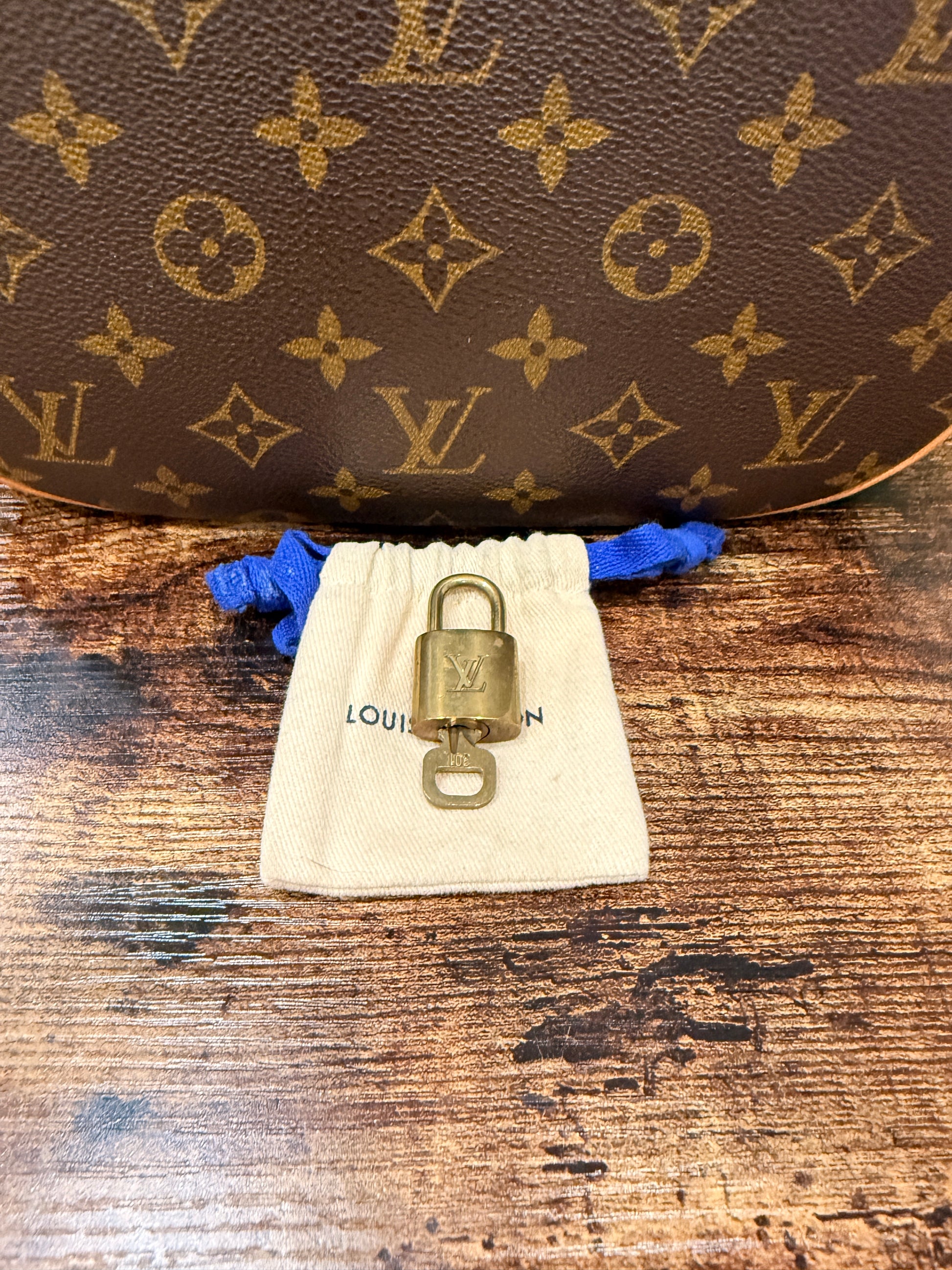 Louis Vuitton Sac Dos Packall