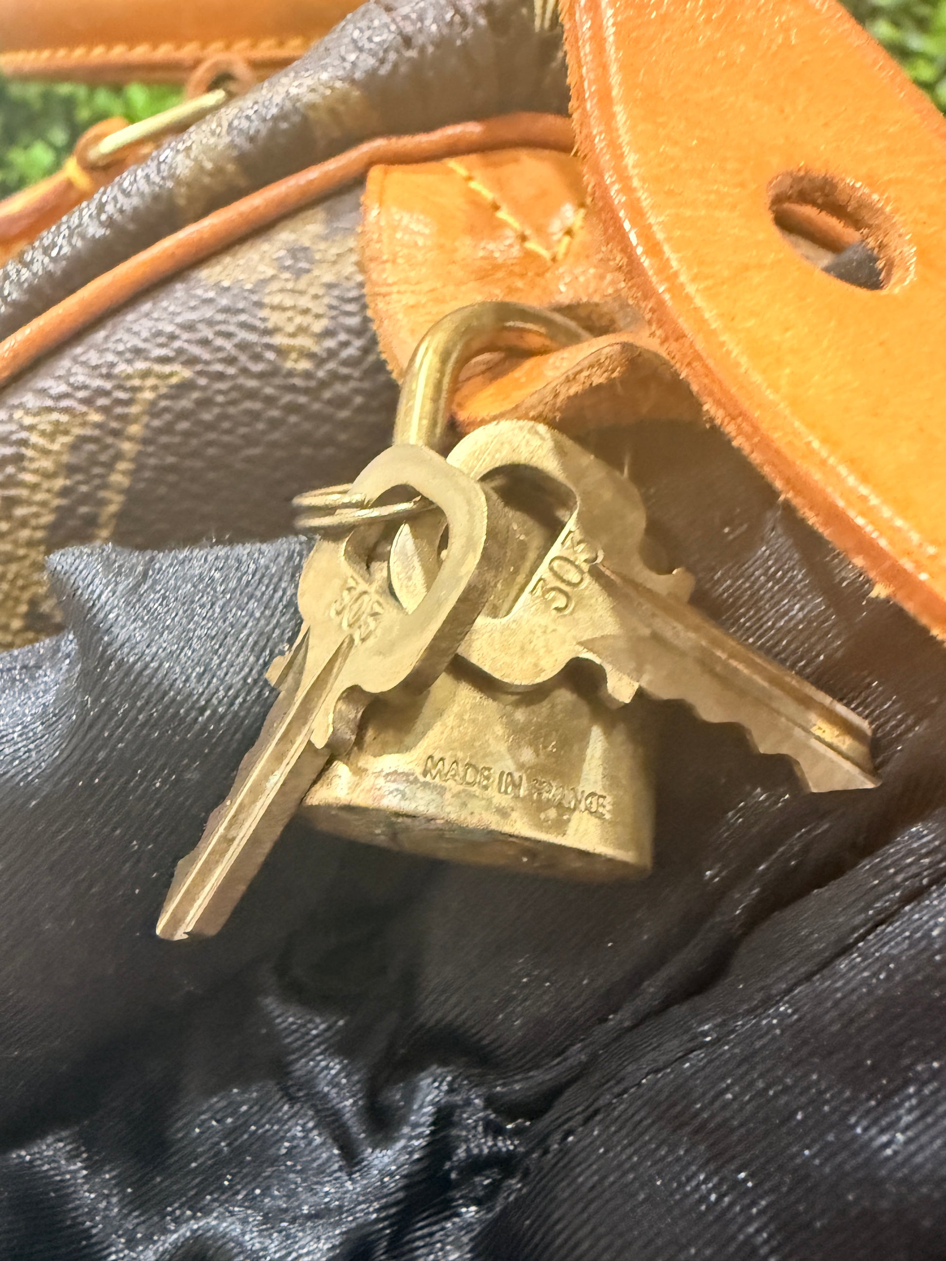 Louis Vuitton Speedy 30 Monogram