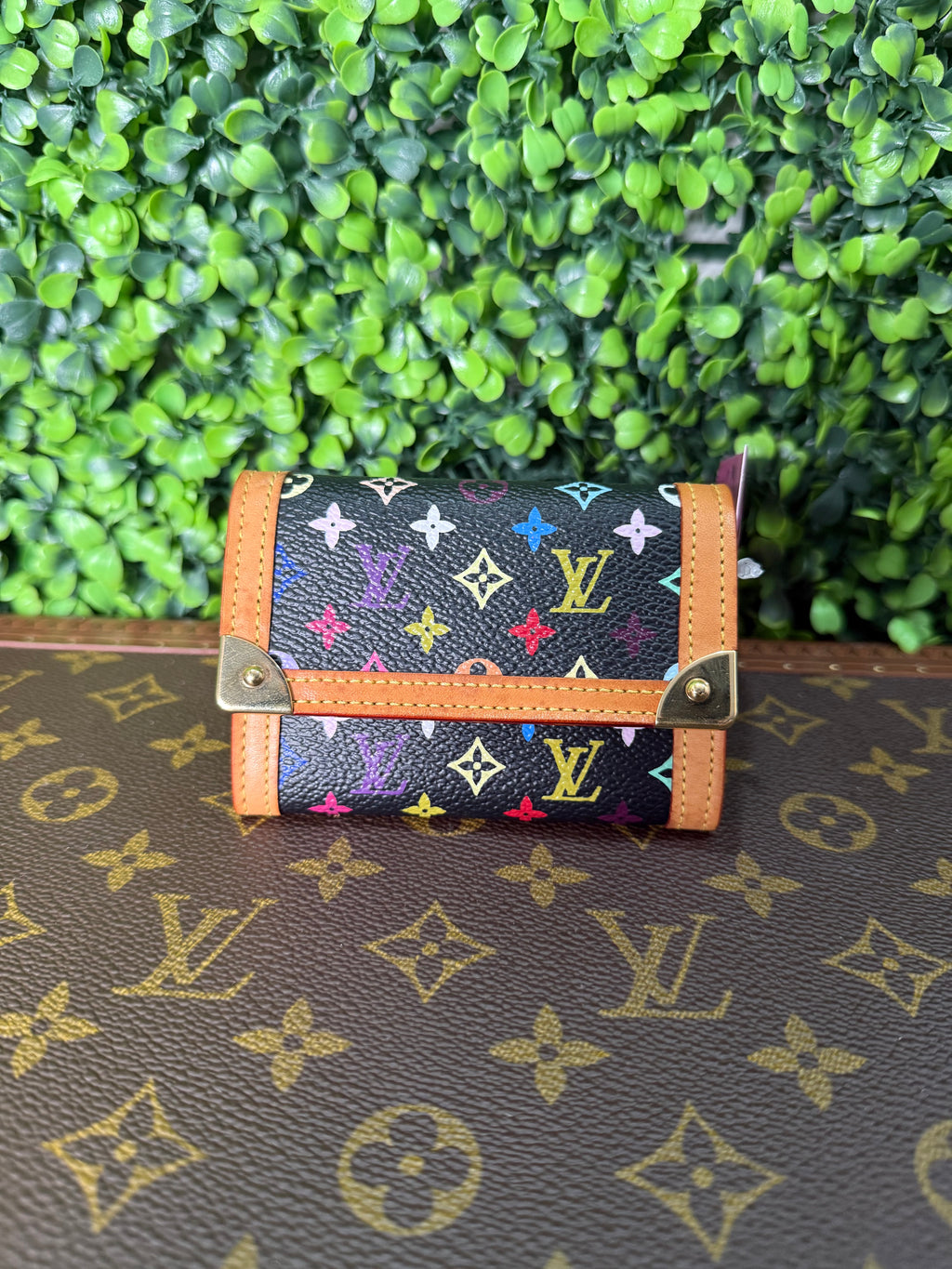 Louis Vuitton Cardholder Monogram Multicolor