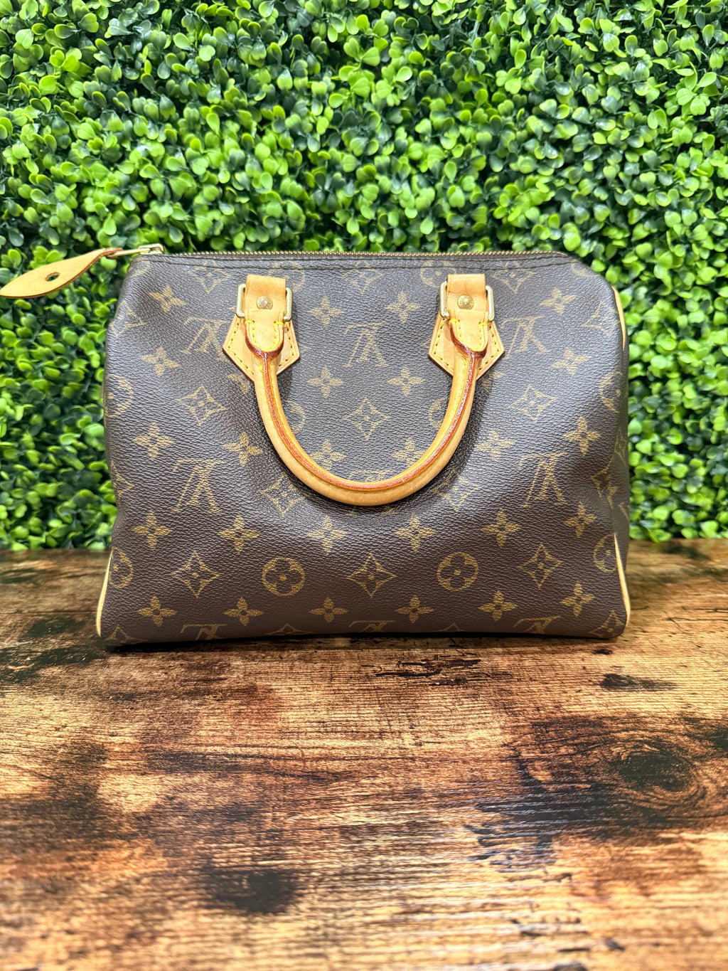 Louis Vuitton Speedy 25 Monogram