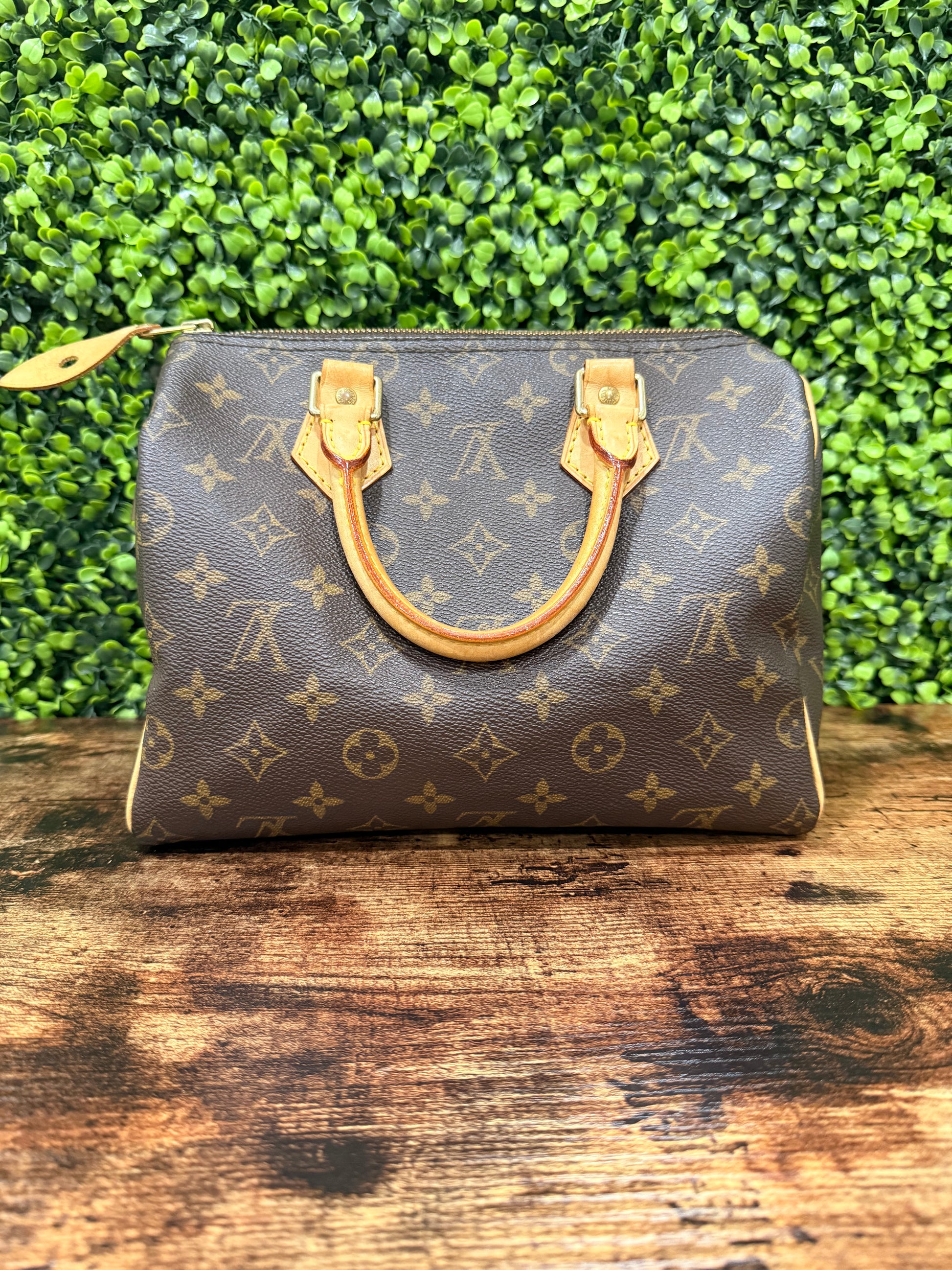 Louis Vuitton Speedy 25 Monogram