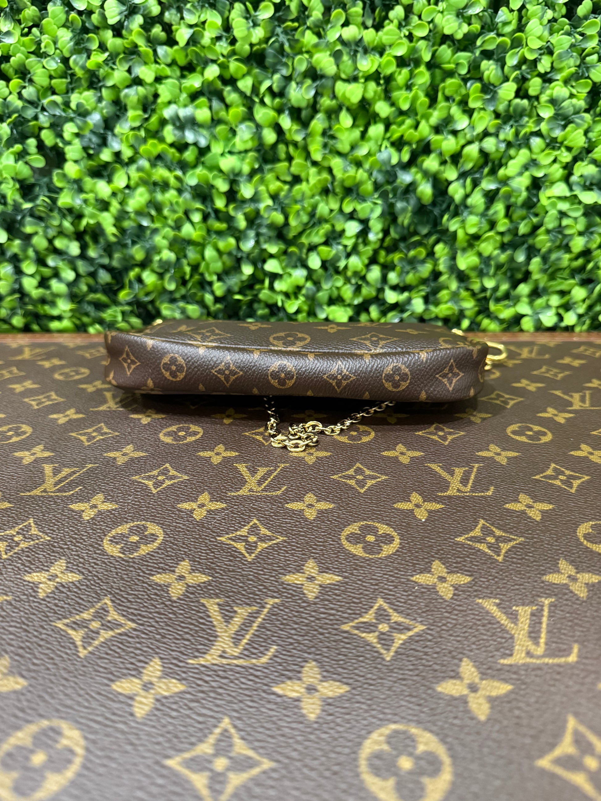 Louis Vuitton Monogram Small Pochette