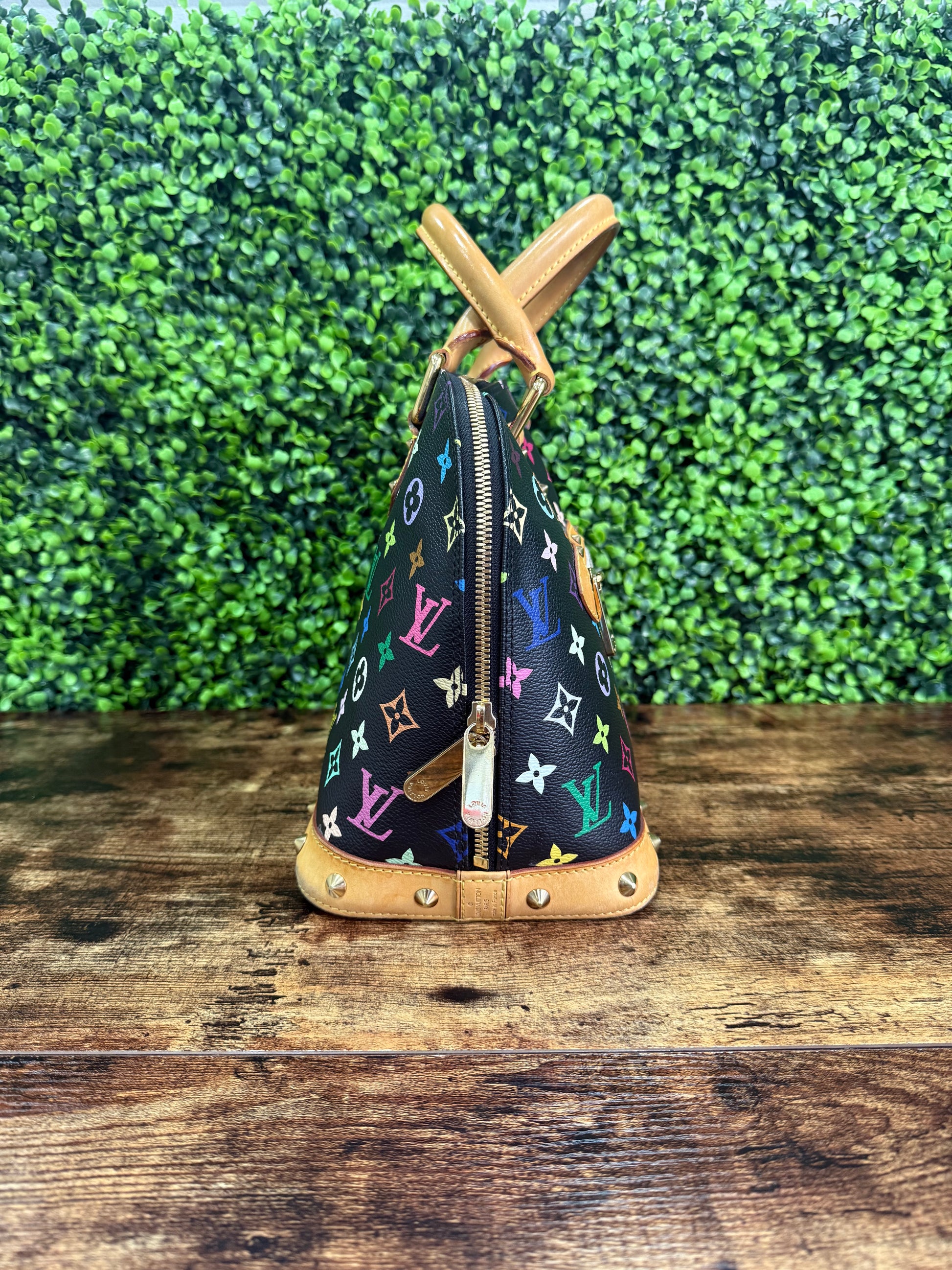 Louis Vuitton Alma PM Multicolor