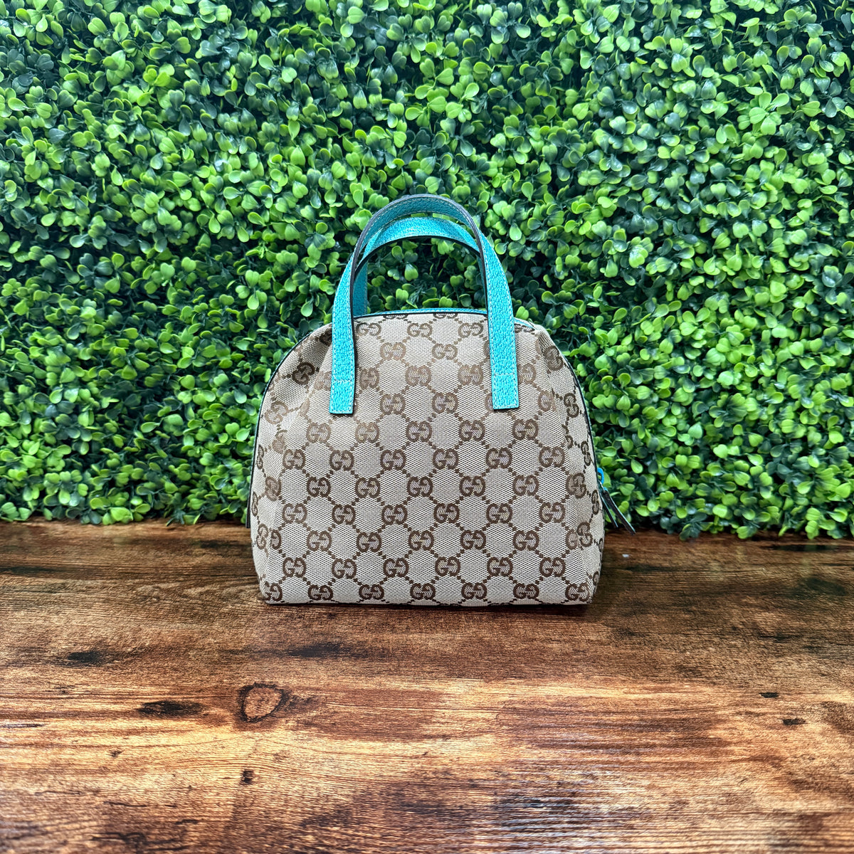 Gucci Canva Brown / Aqua