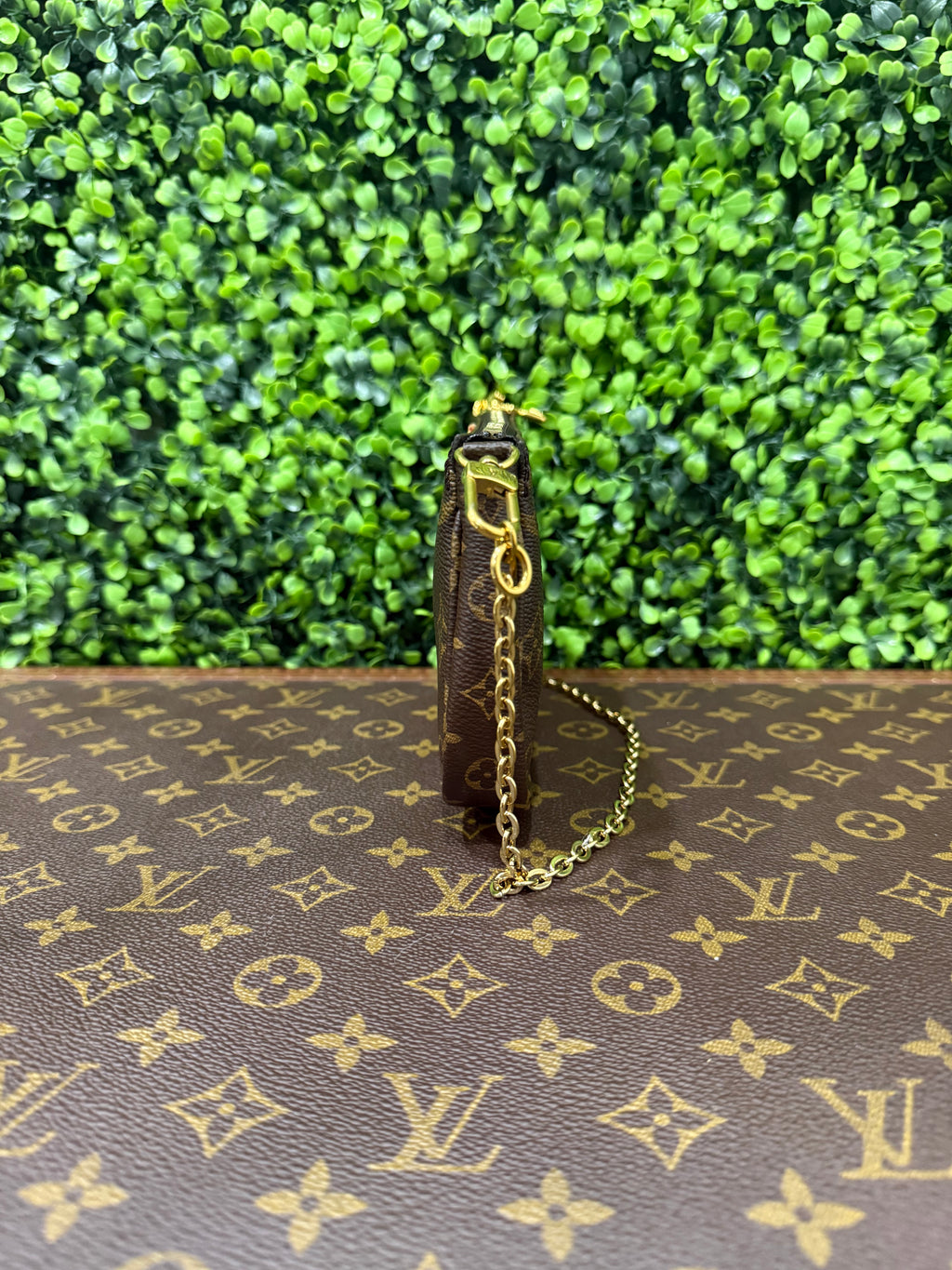 Louis Vuitton Monogram Small Pochette