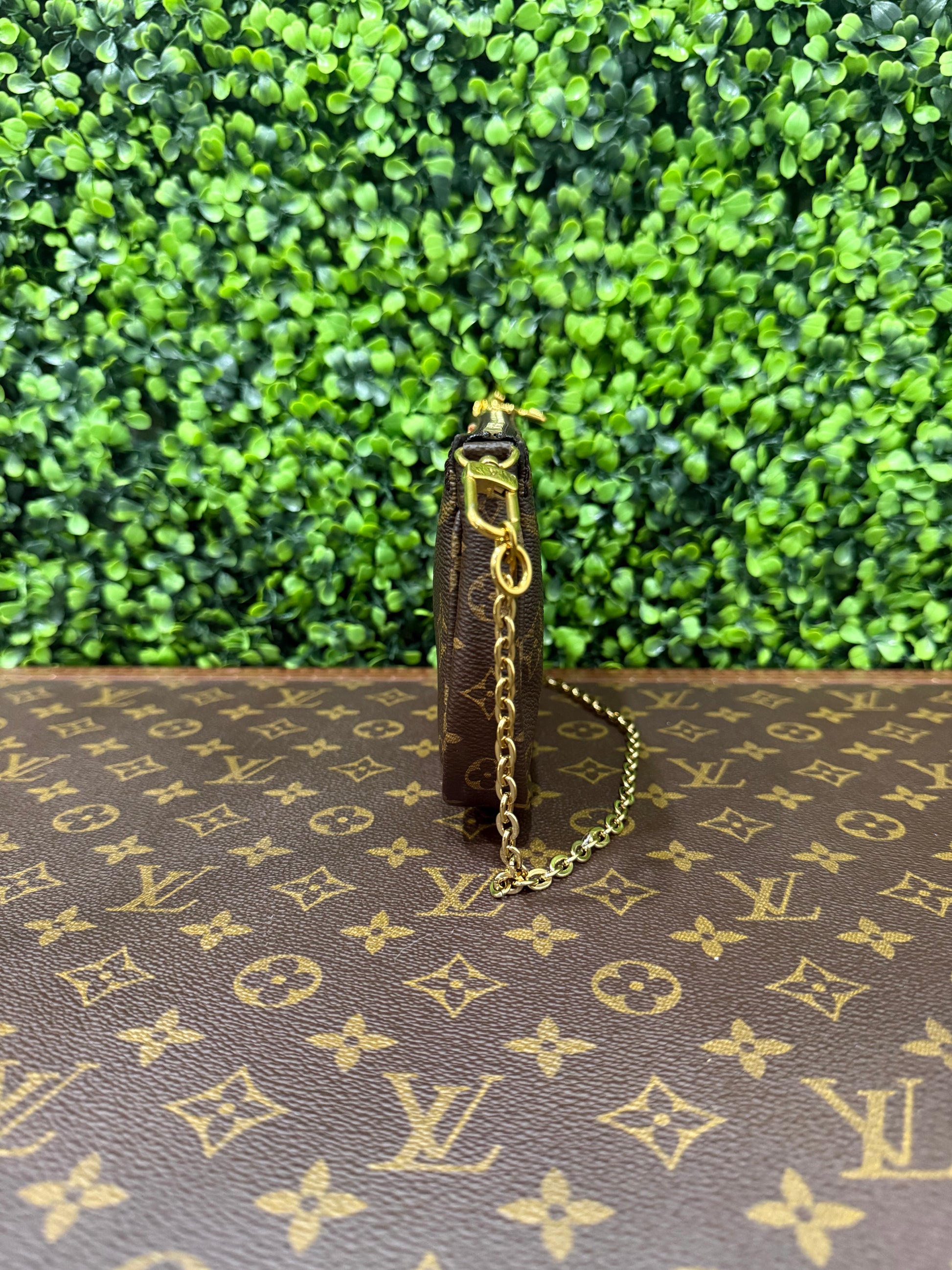 Louis Vuitton Monogram Small Pochette
