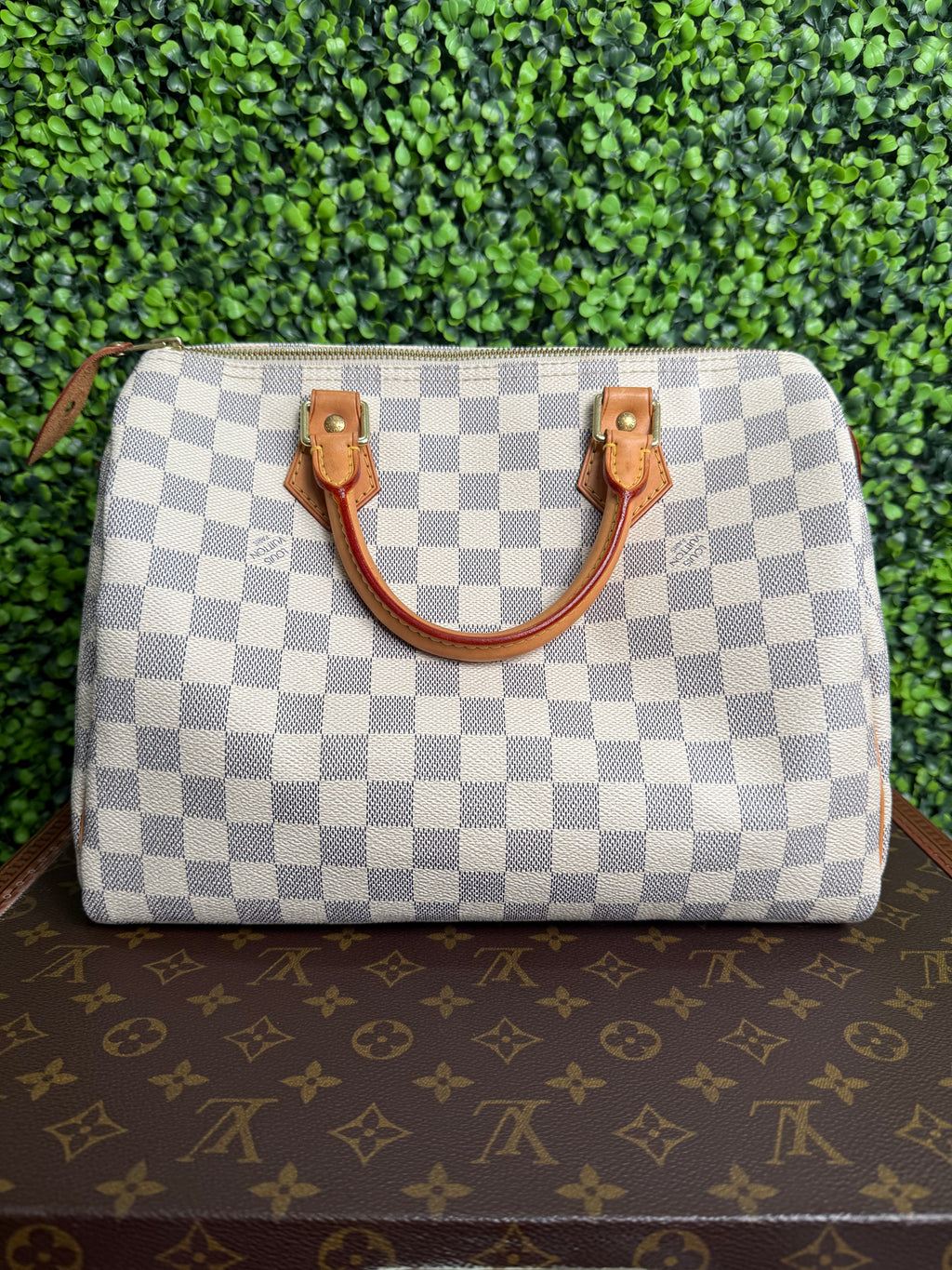Louis Vuitton Speedy 30 Azur