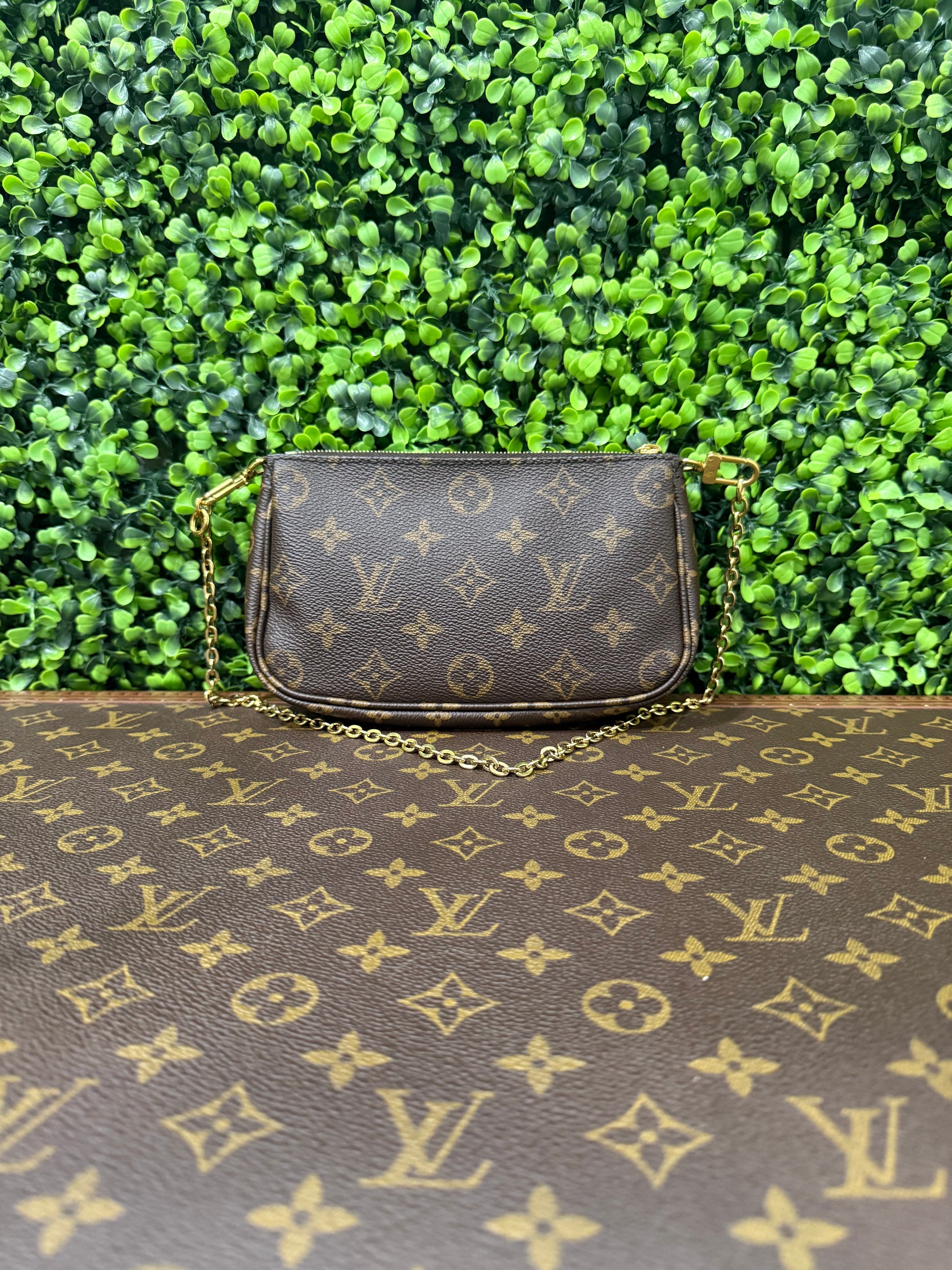 Louis Vuitton Monogram Small Pochette