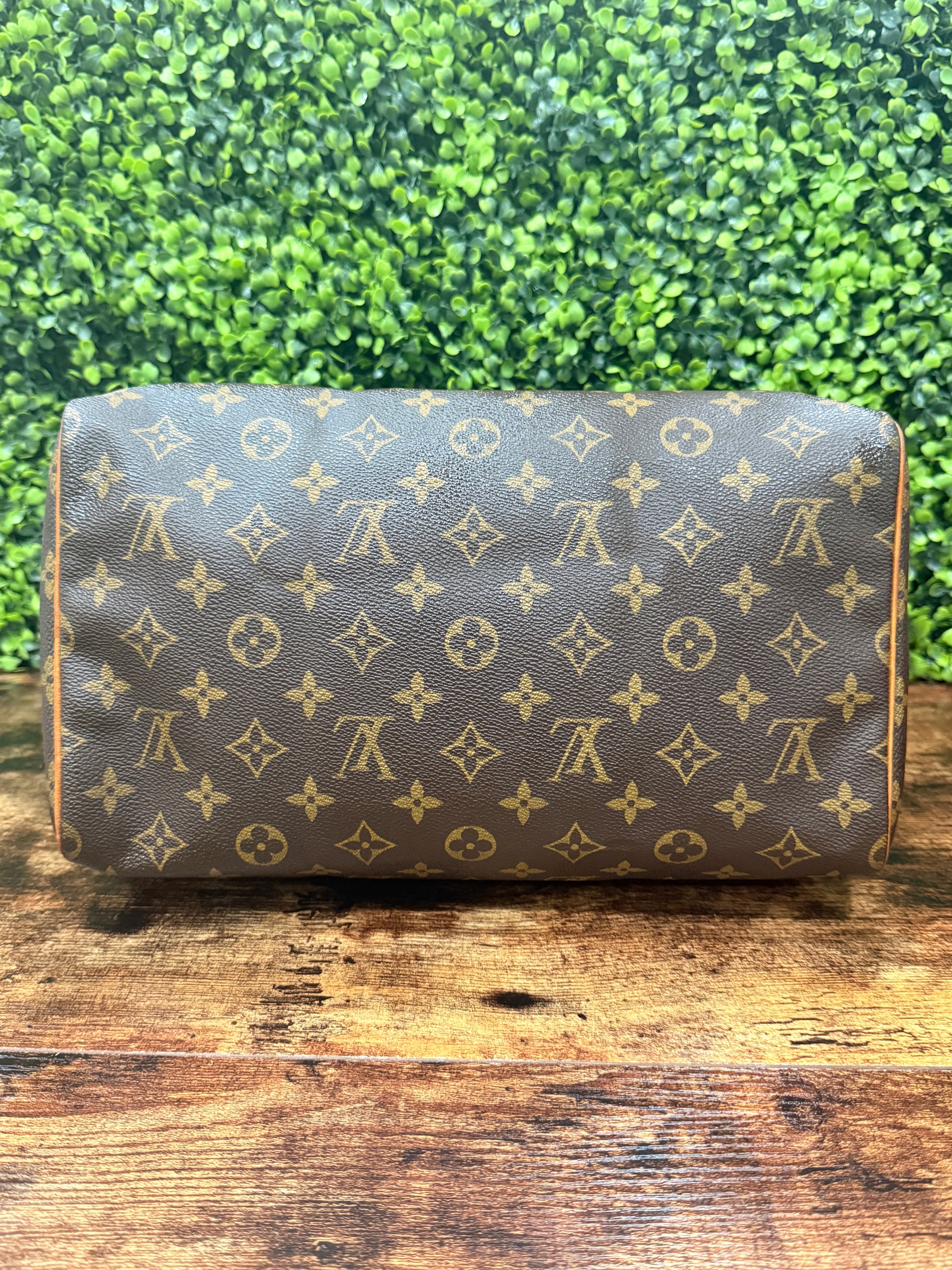 Louis Vuitton Speedy 30 Monogram