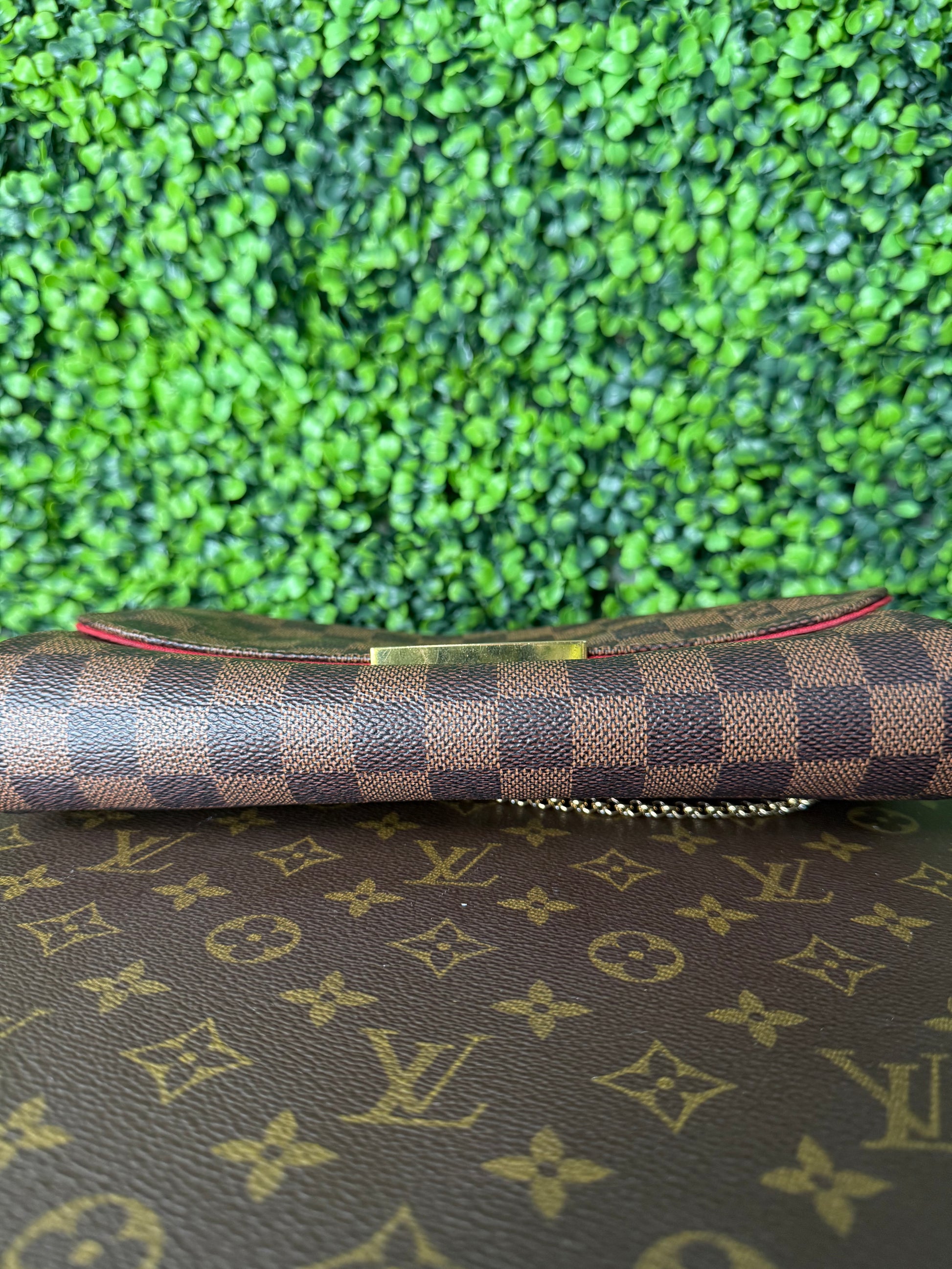 Louis Vuitton Favorite MM Monogram