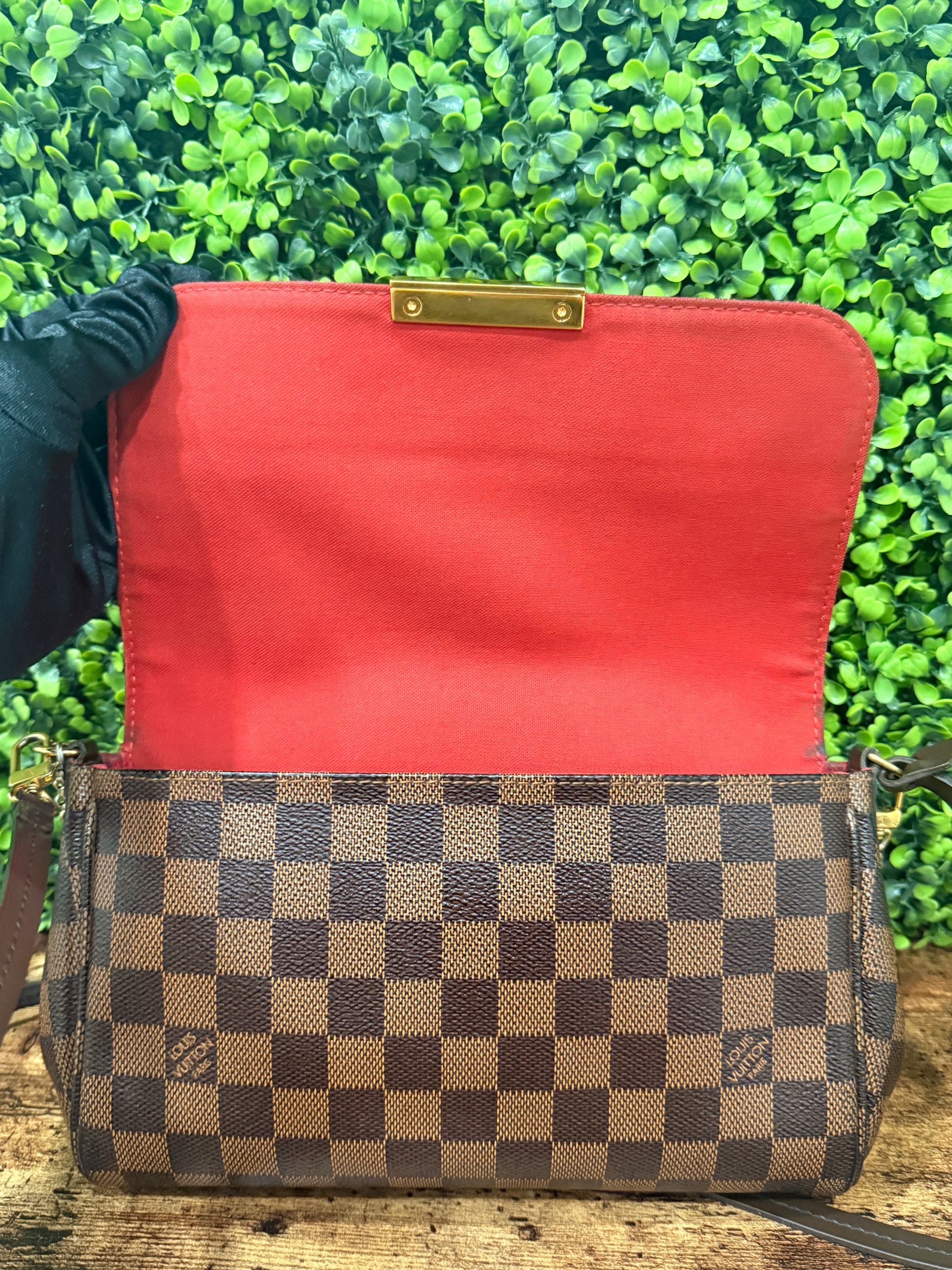 Louis Vuitton Favorite MM Damier Ebene