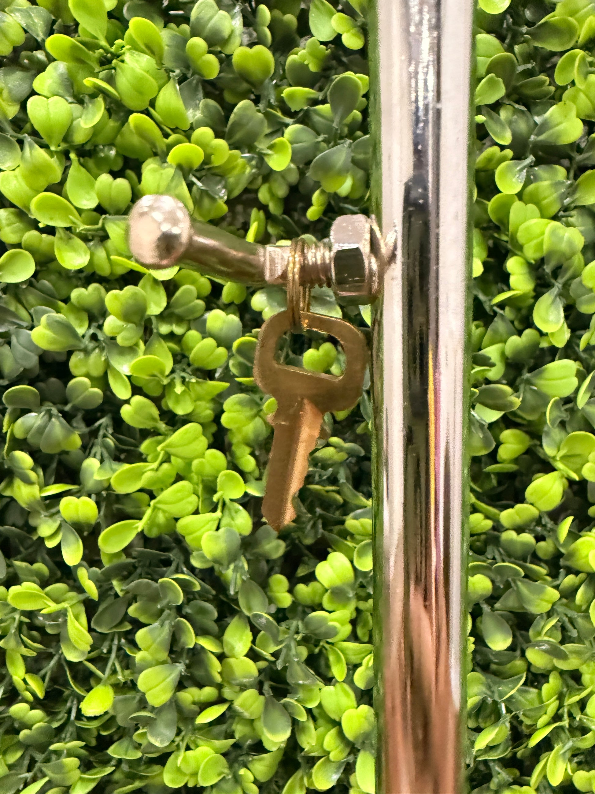 Louis Vuitton Key No.301