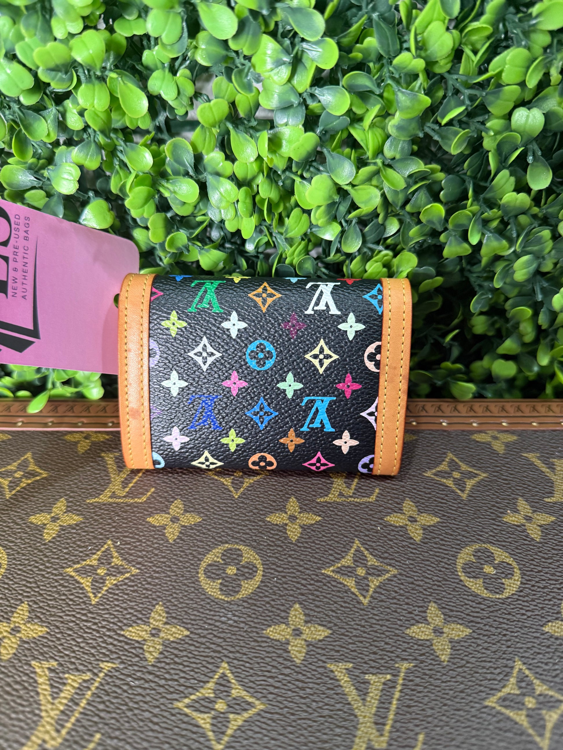 Louis Vuitton Cardholder Monogram Multicolor