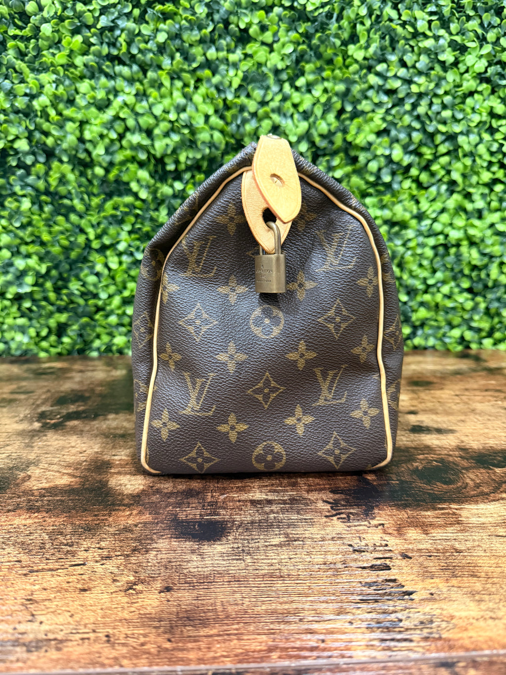 Louis Vuitton Speedy 25 Monogram