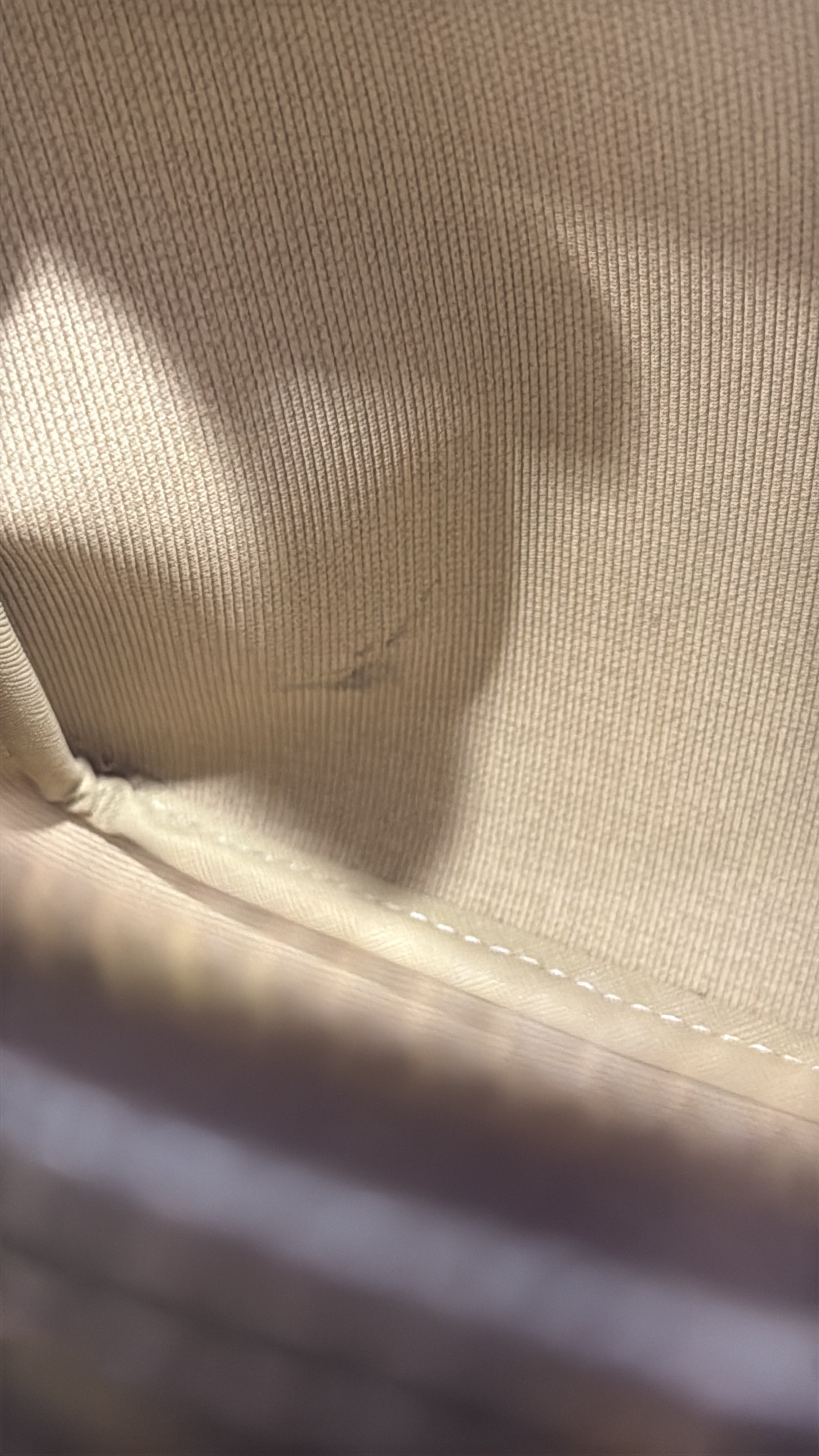 Louis Vuitton Reporter PM Monogram