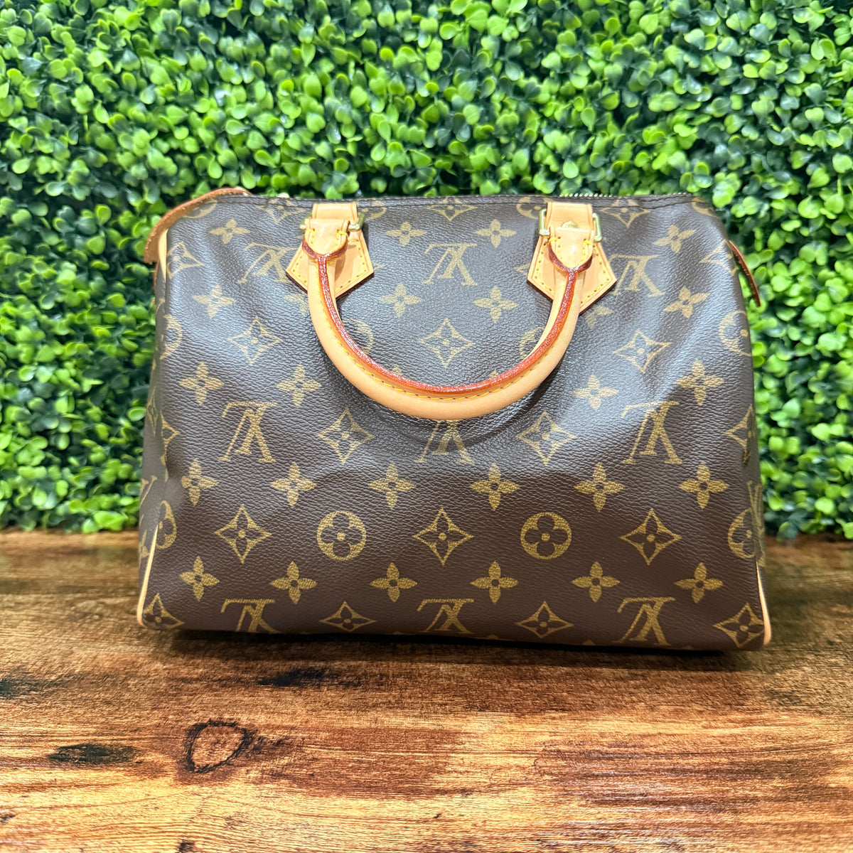 Louis Vuitton Speedy 25 Monogram
