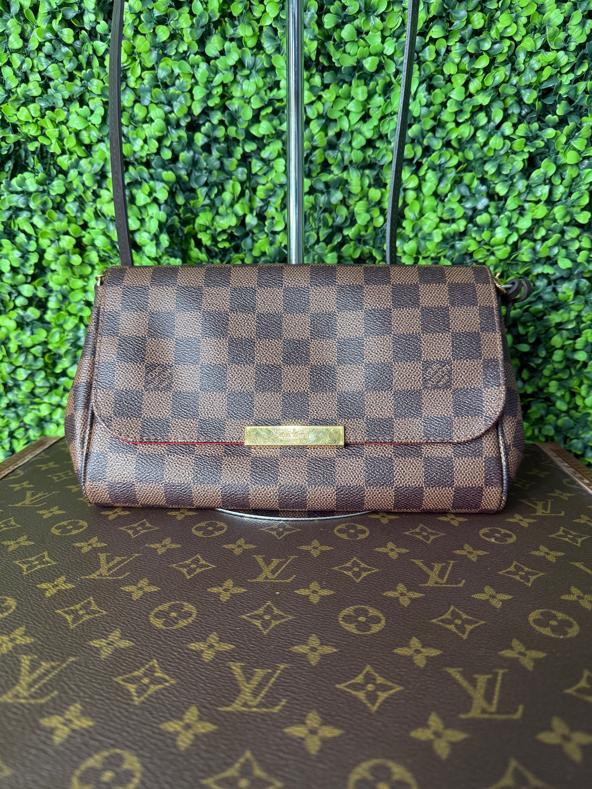 Louis Vuitton Favorite MM Monogram