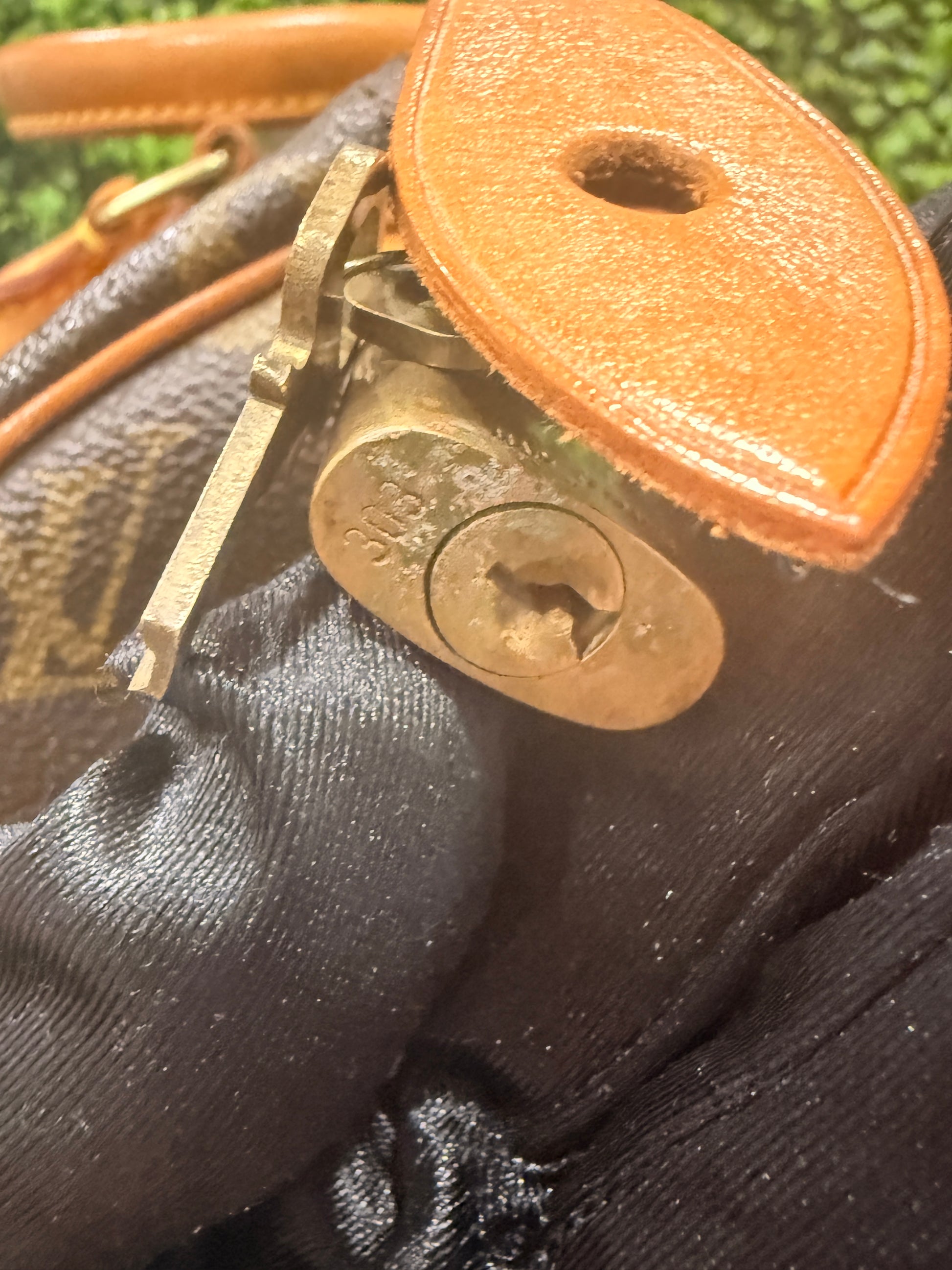 Louis Vuitton Speedy 30 Monogram