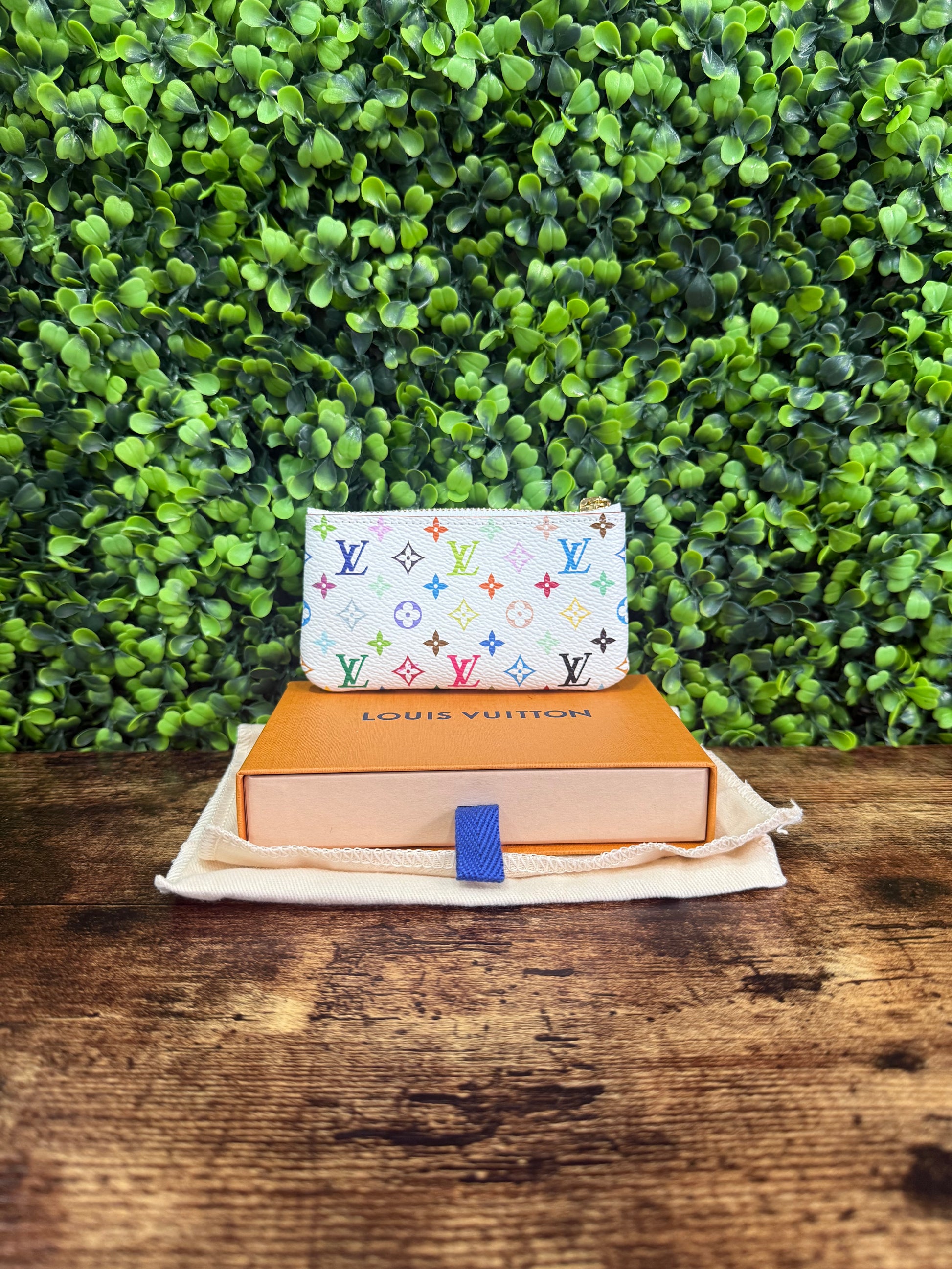 Louis Vuitton Pochette Cless Multicolor
