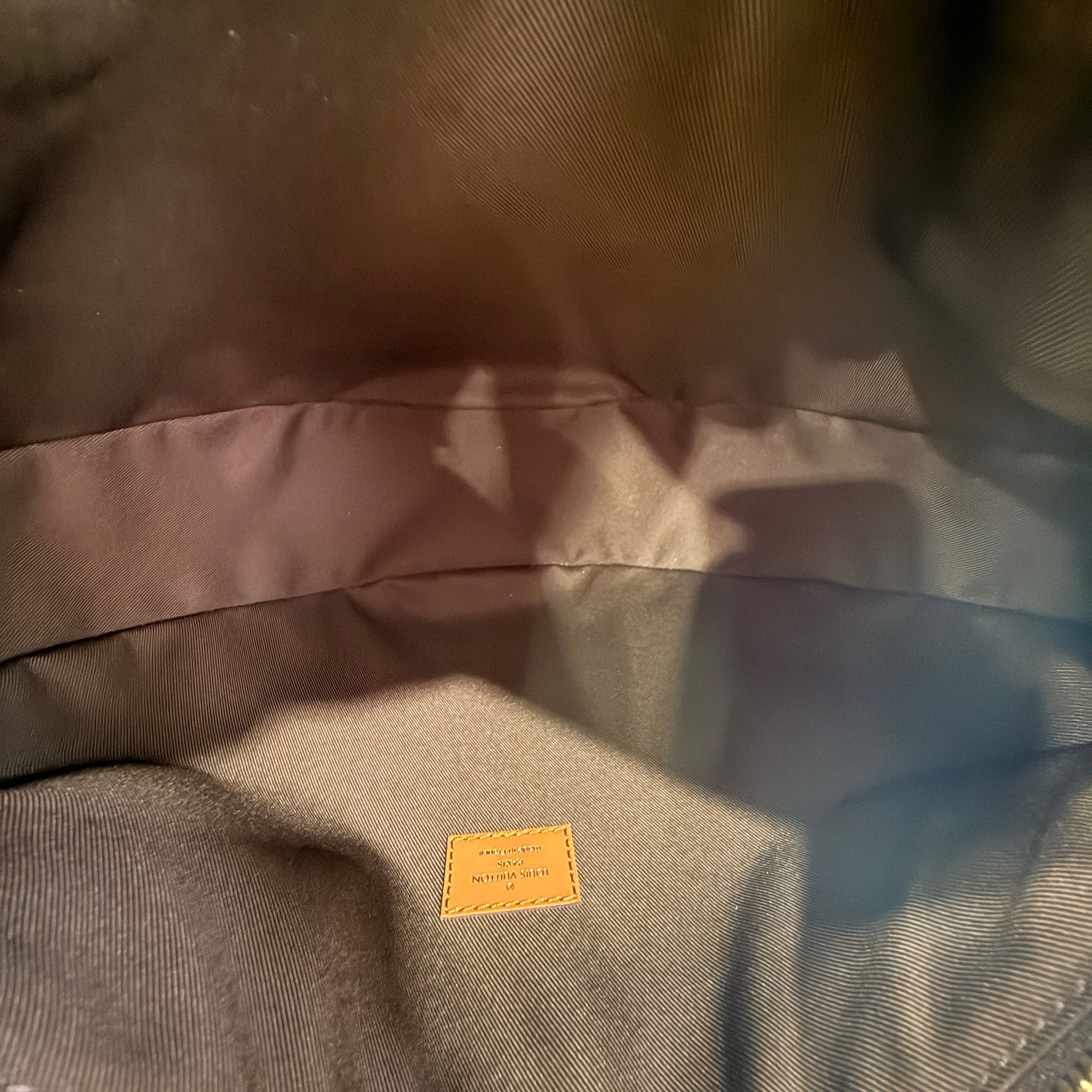 Louis Vuitton Loop Hobo Bag Monogram