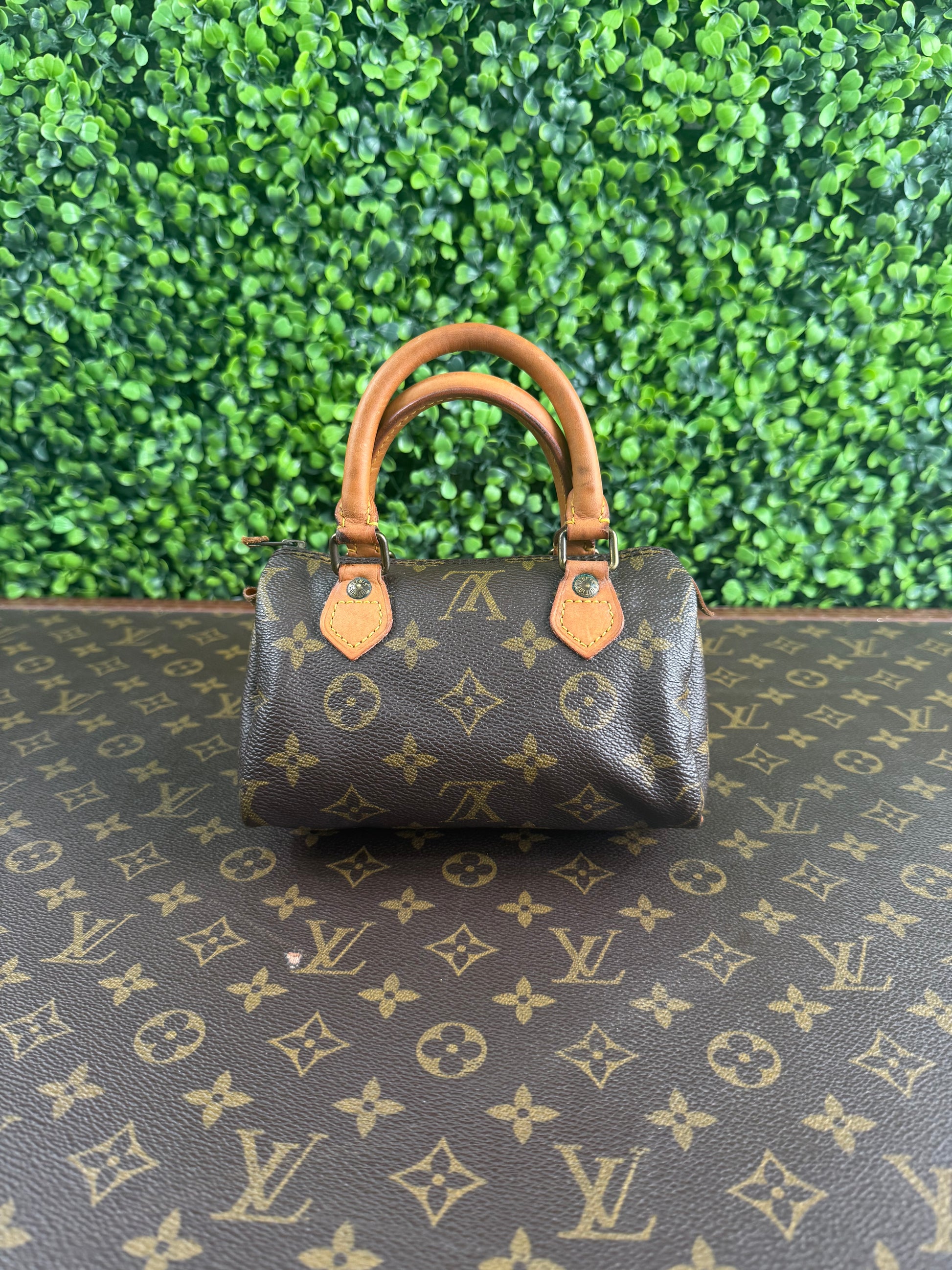 Louis Vuitton Nano Speedy Monogram
