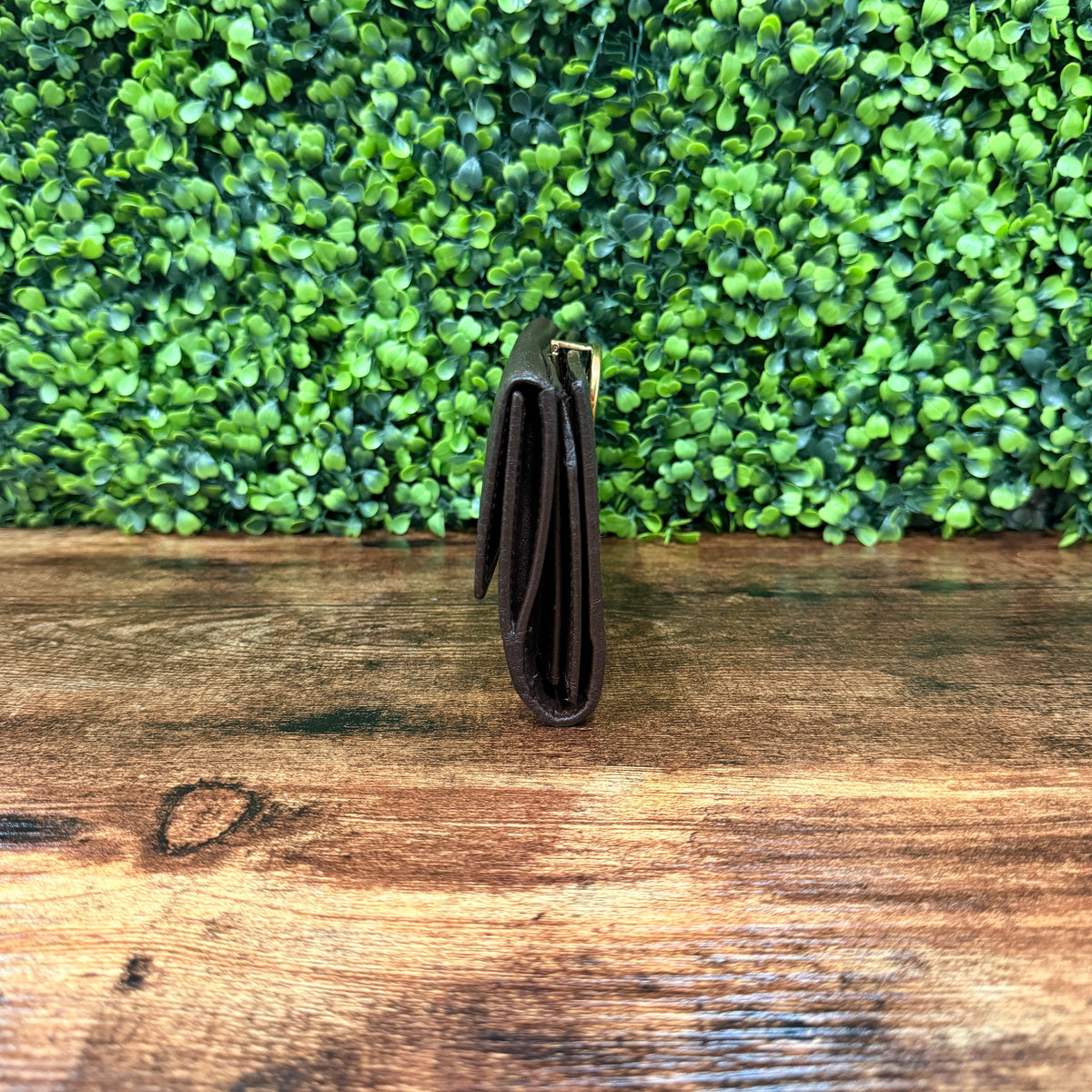 Gucci Continental Wallet Canva