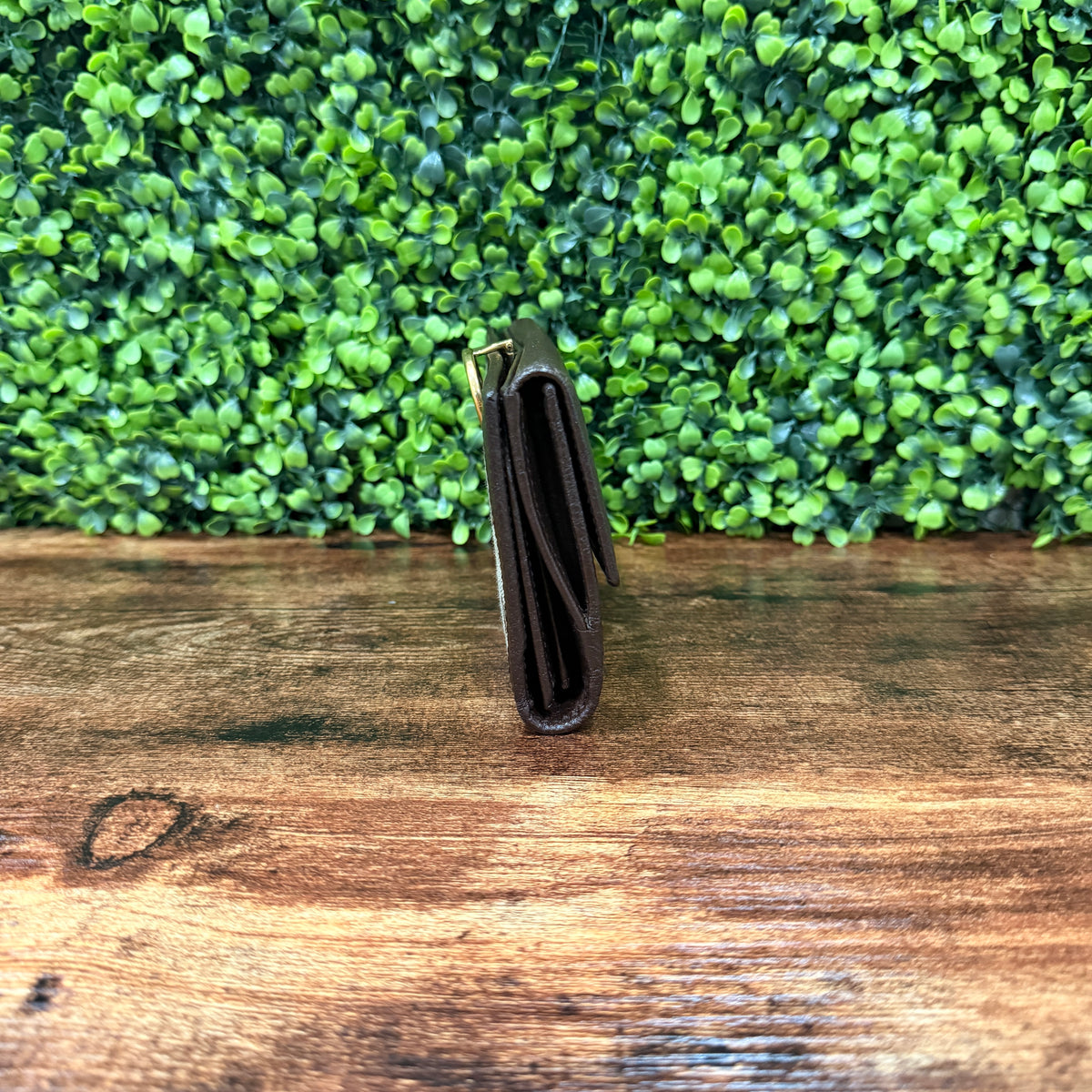 Gucci Continental Wallet Canva
