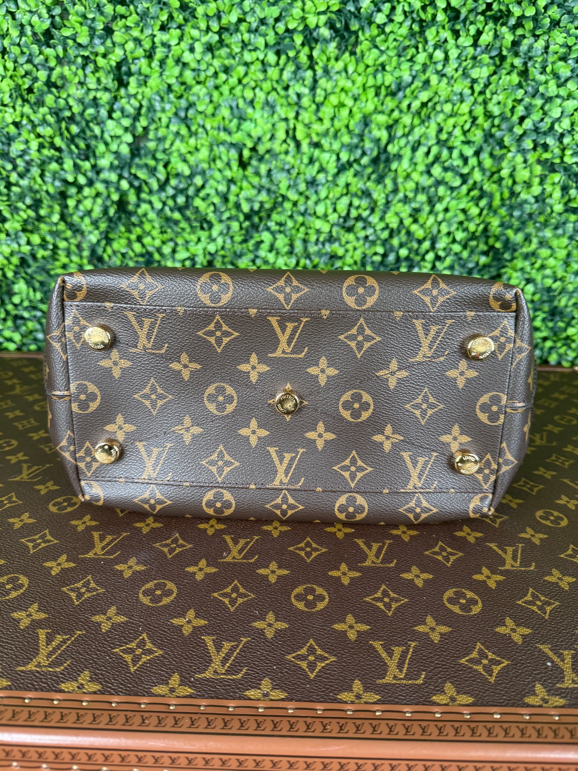 Louis Vuitton Ostrich & Python Majestuex MM