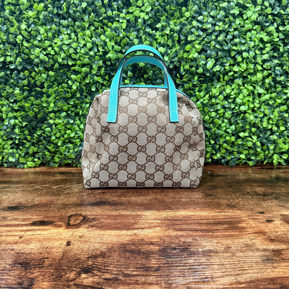 Gucci Canva Brown / Aqua