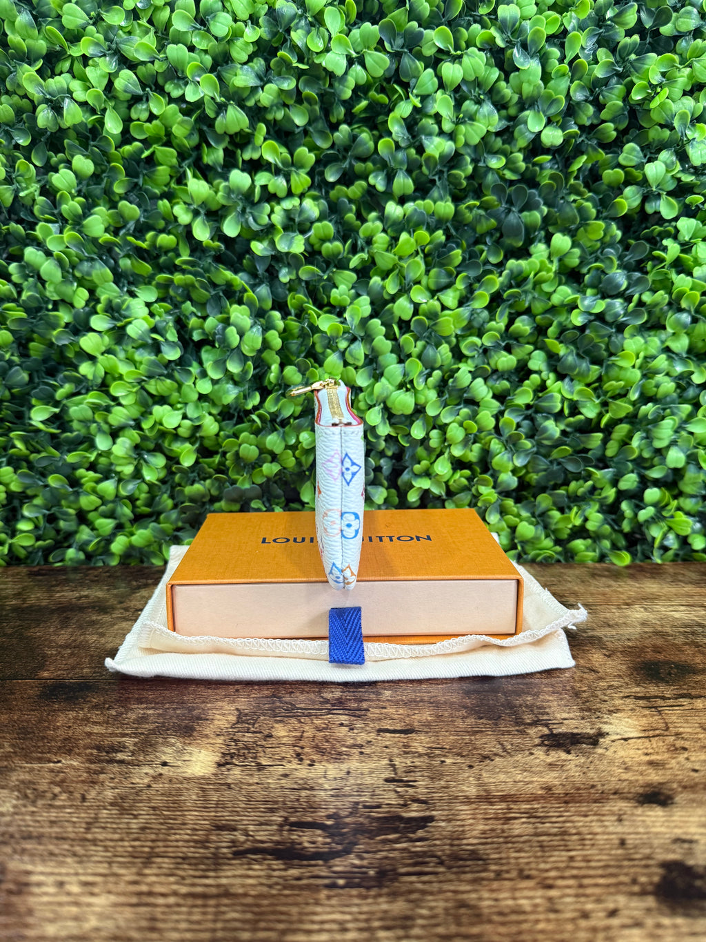 Louis Vuitton Pochette Cless Multicolor