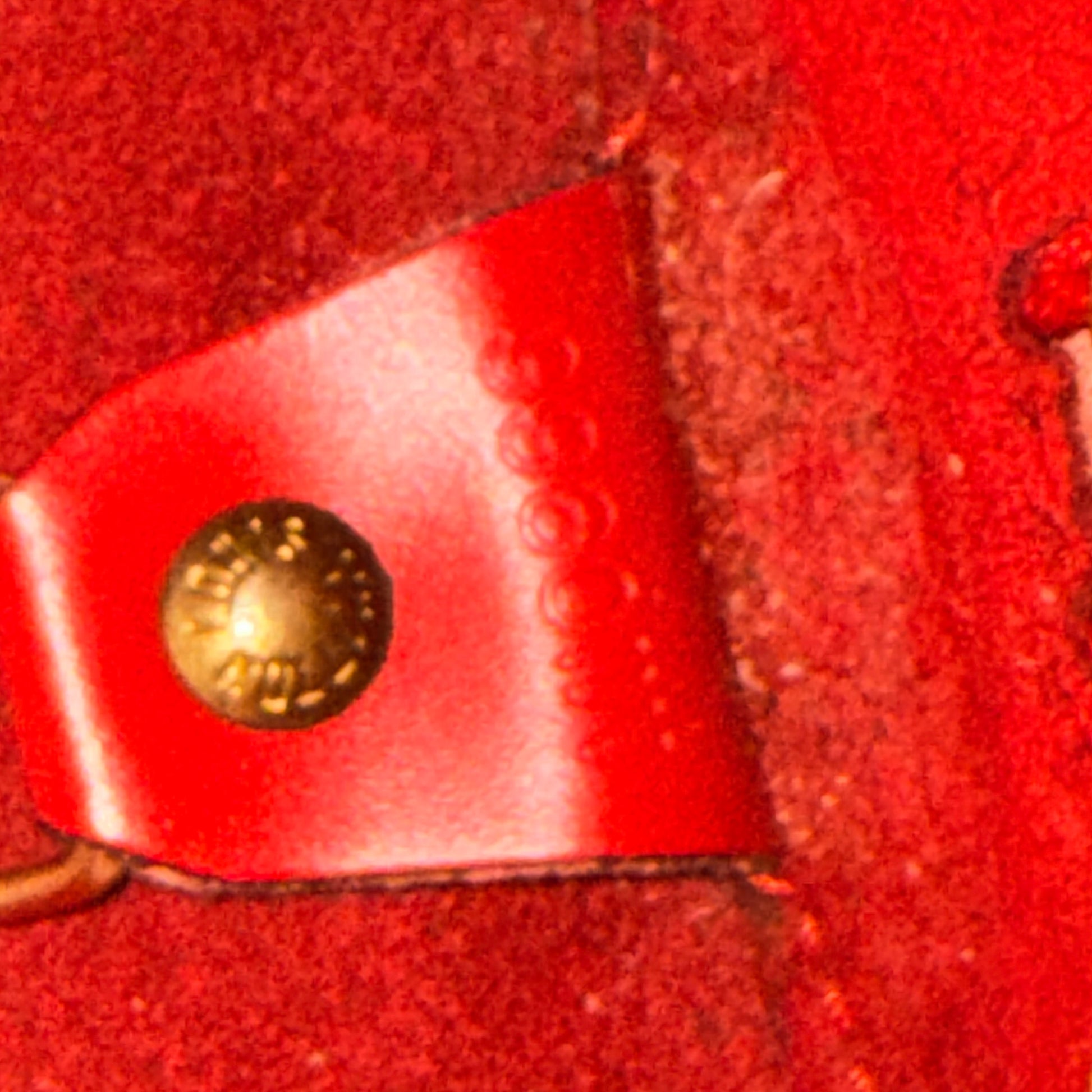 Louis Vuitton Red Pavilion Bag Epi