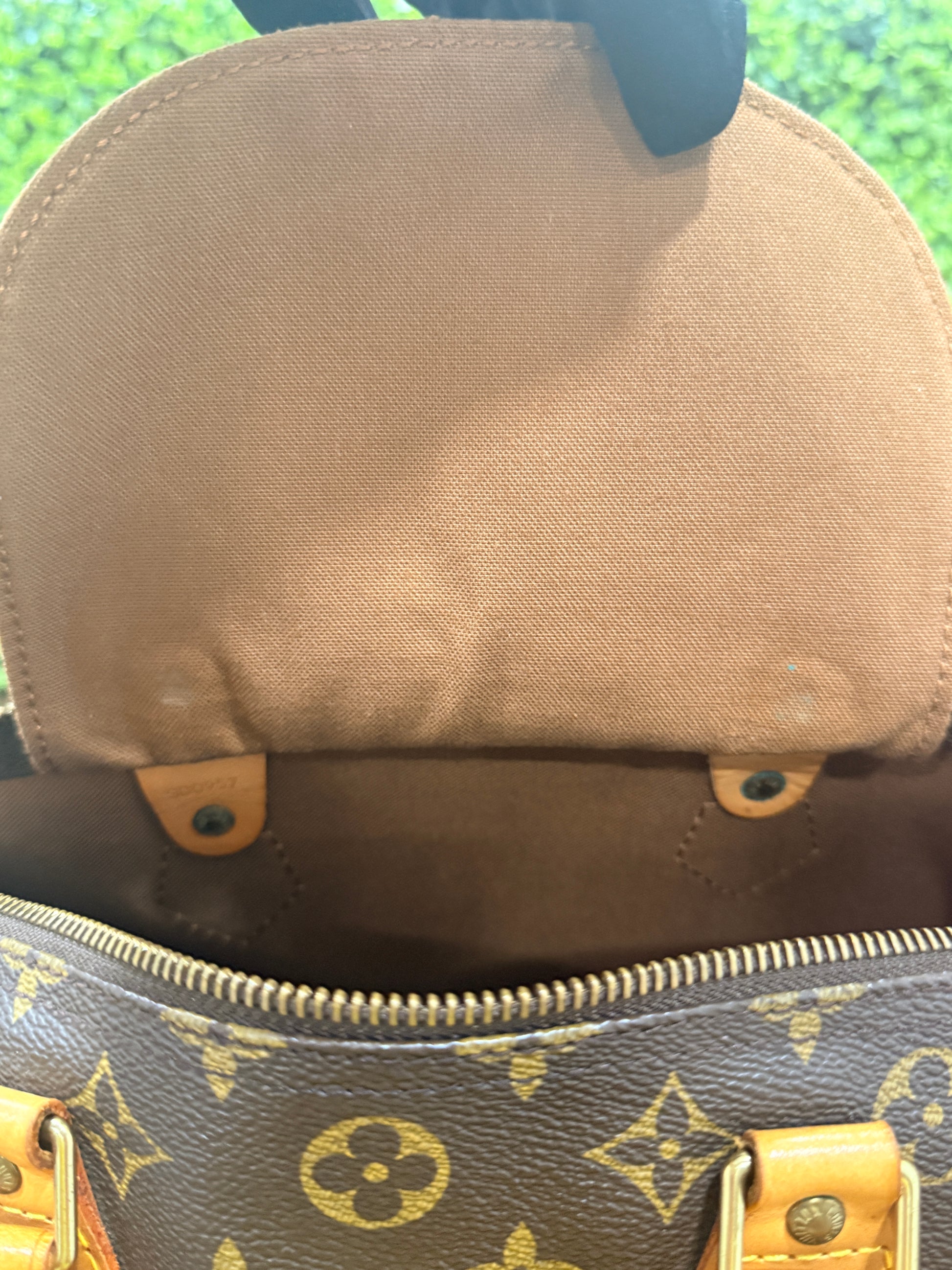 Louis Vuitton Speedy 30 Monogram