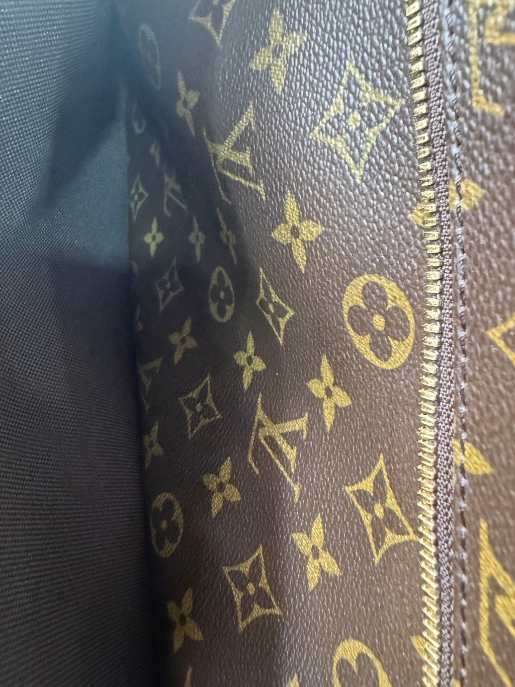 Louis Vuitton Canvas Garment Carrier Bag
