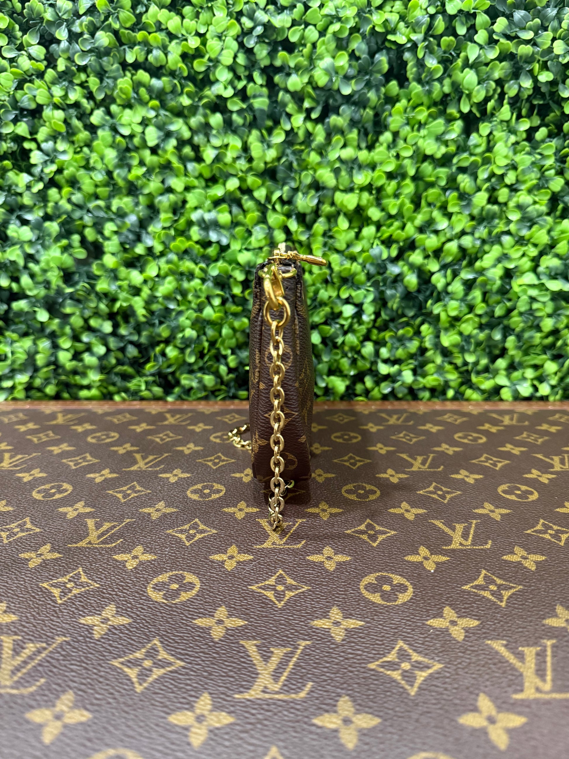 Louis Vuitton Monogram Small Pochette