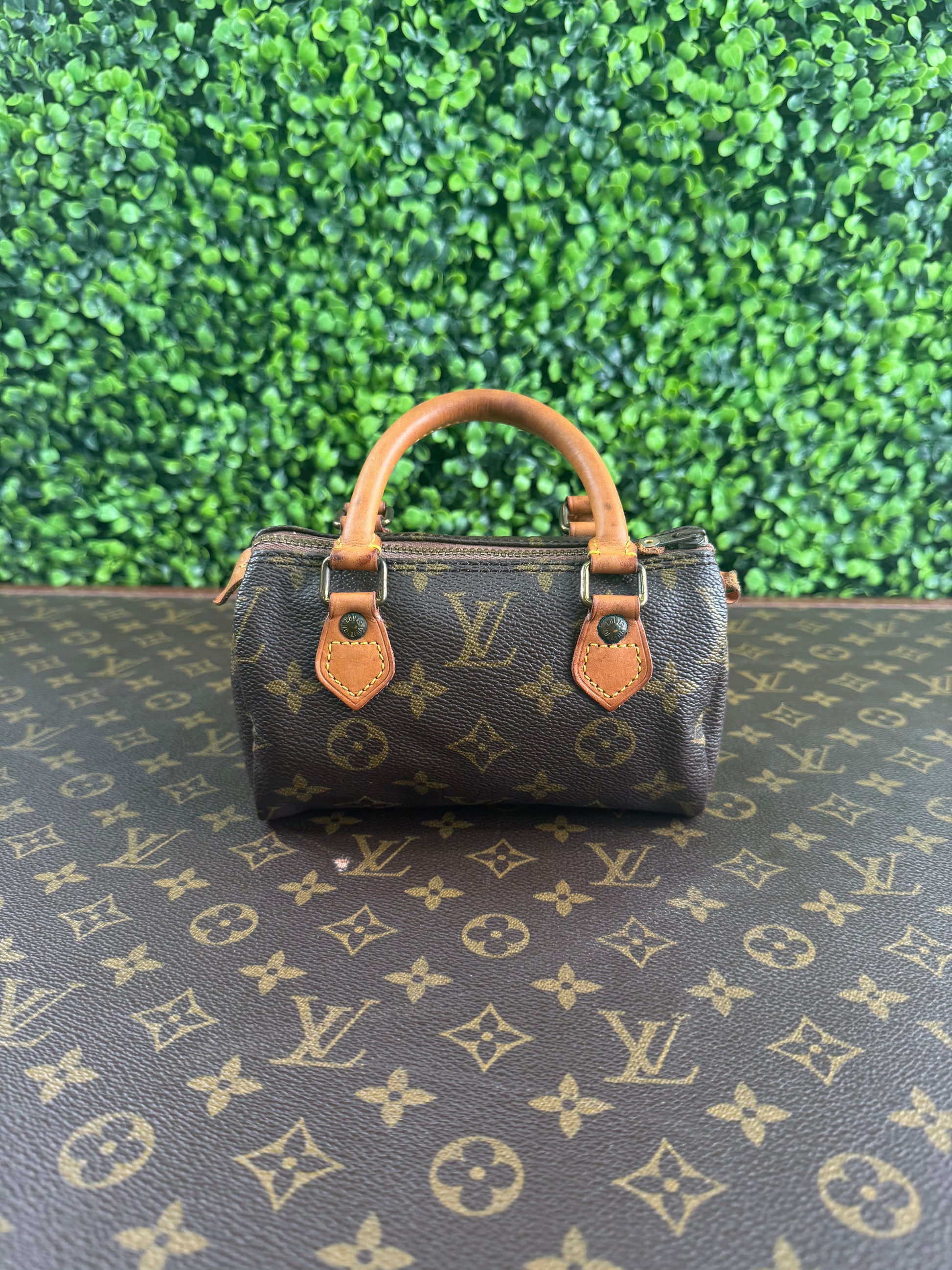 Louis Vuitton Nano Speedy Monogram