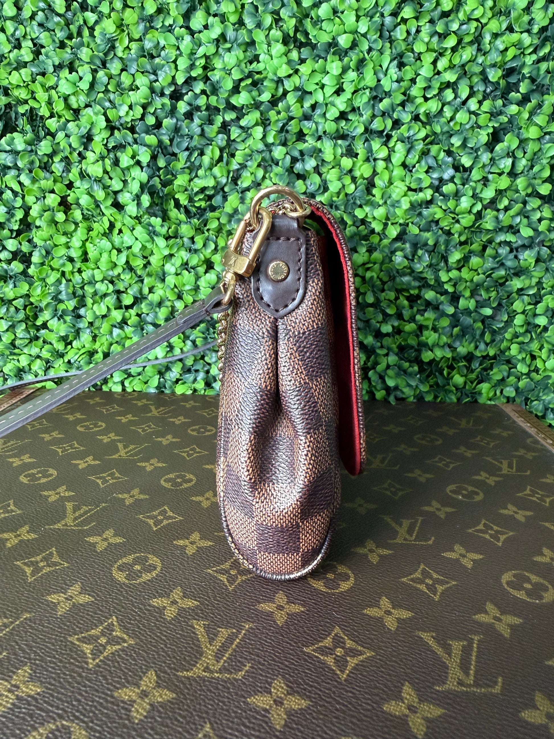 Louis Vuitton Favorite MM Monogram