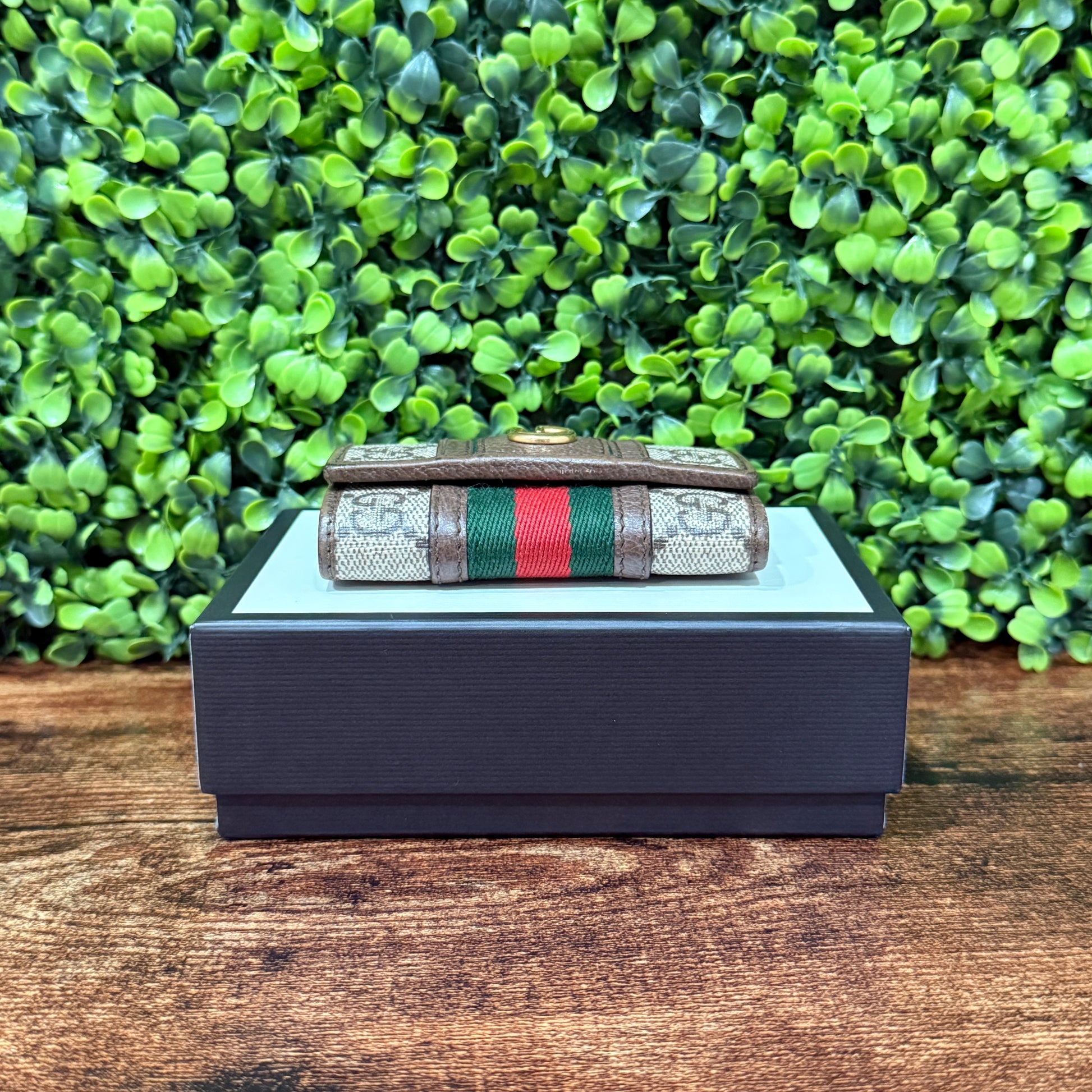 Gucci Key Cless Canva