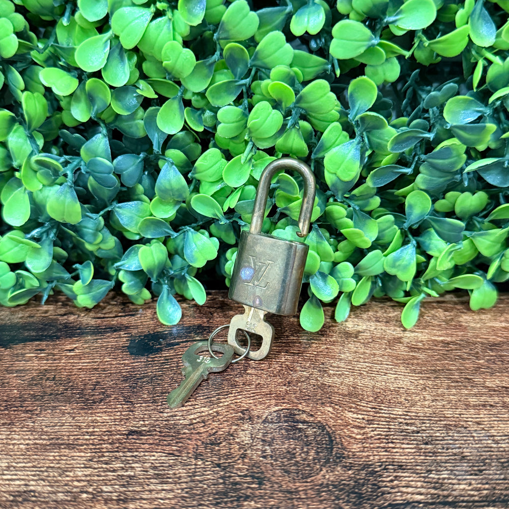 Louis Vuitton Padlock & 2 Key Set 319