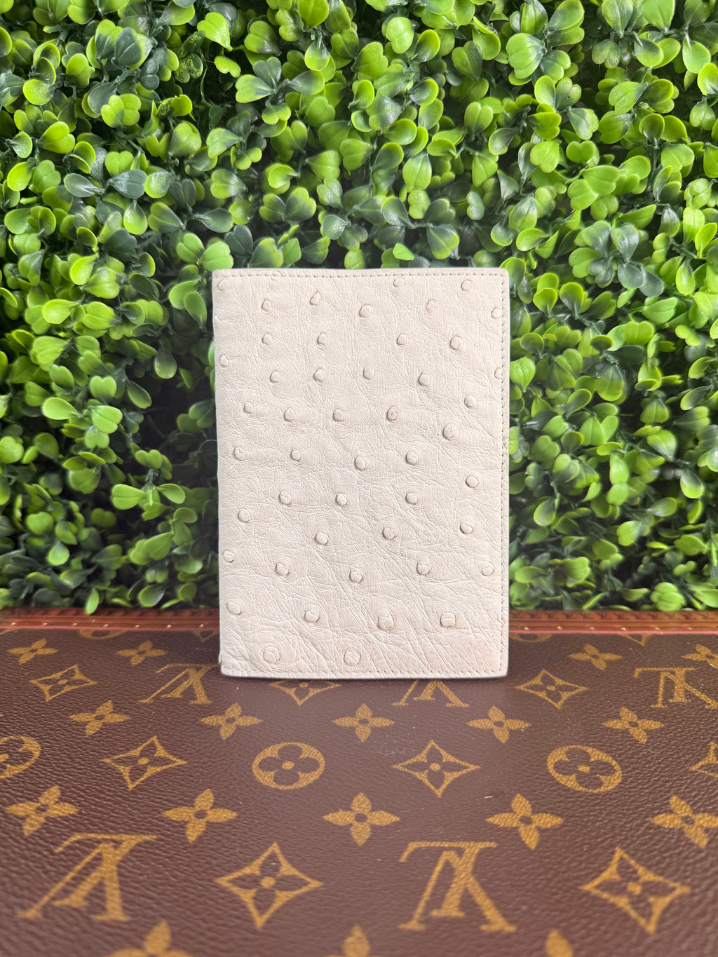 Bottega Venetta Ostrich Passport Holder