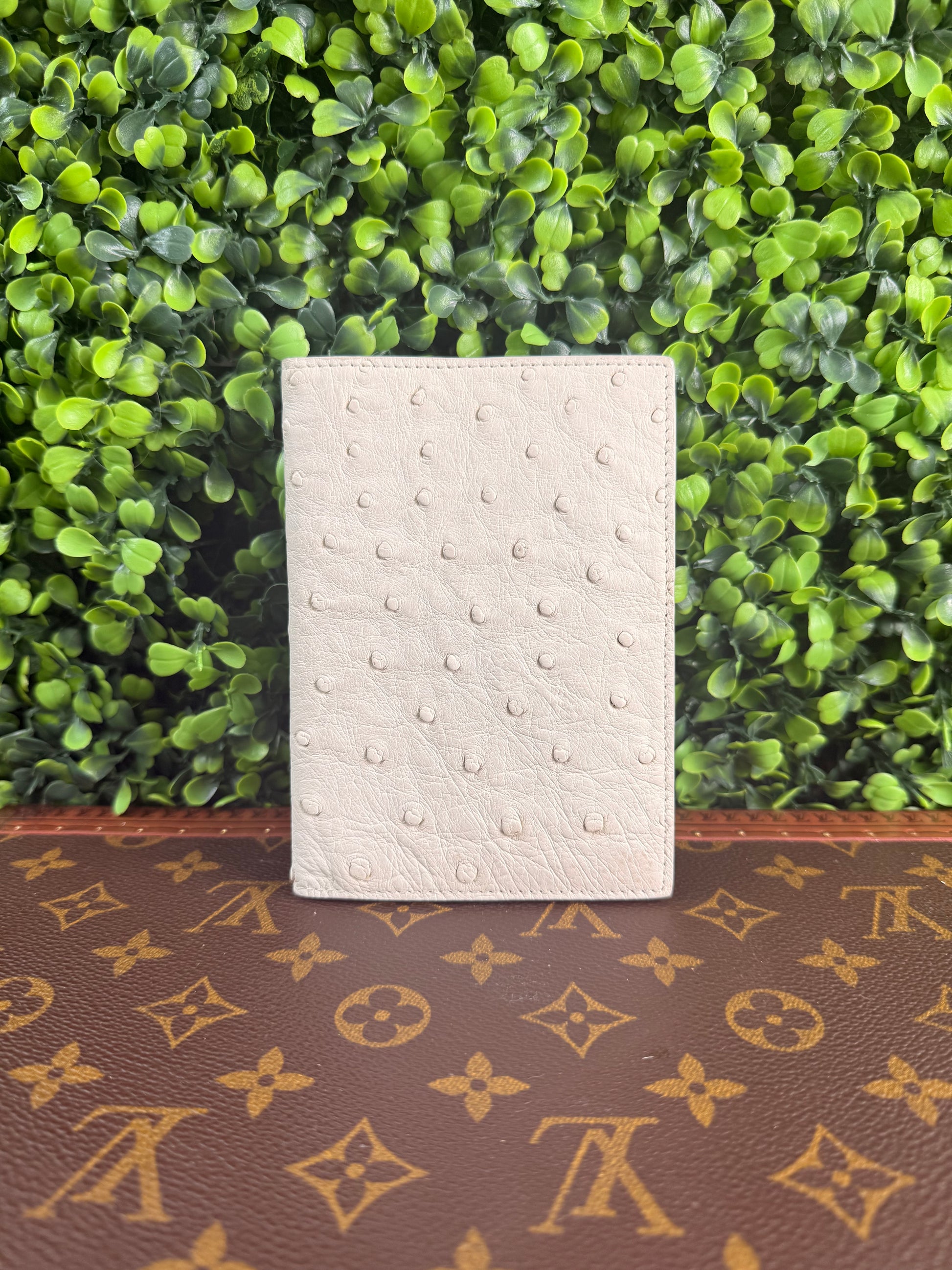 Bottega Venetta Ostrich Passport Holder