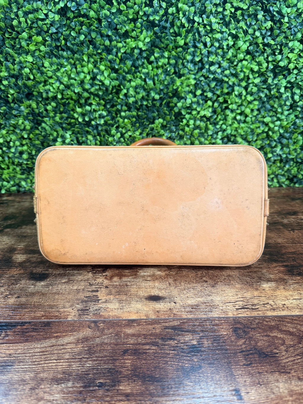 Louis Vuitton Alma PM Multicolor