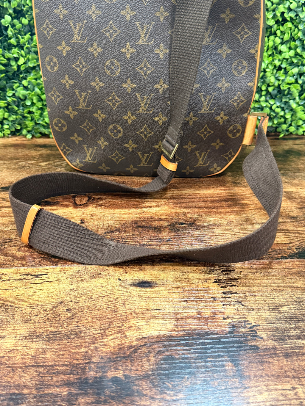 Louis Vuitton Sac Dos Packall