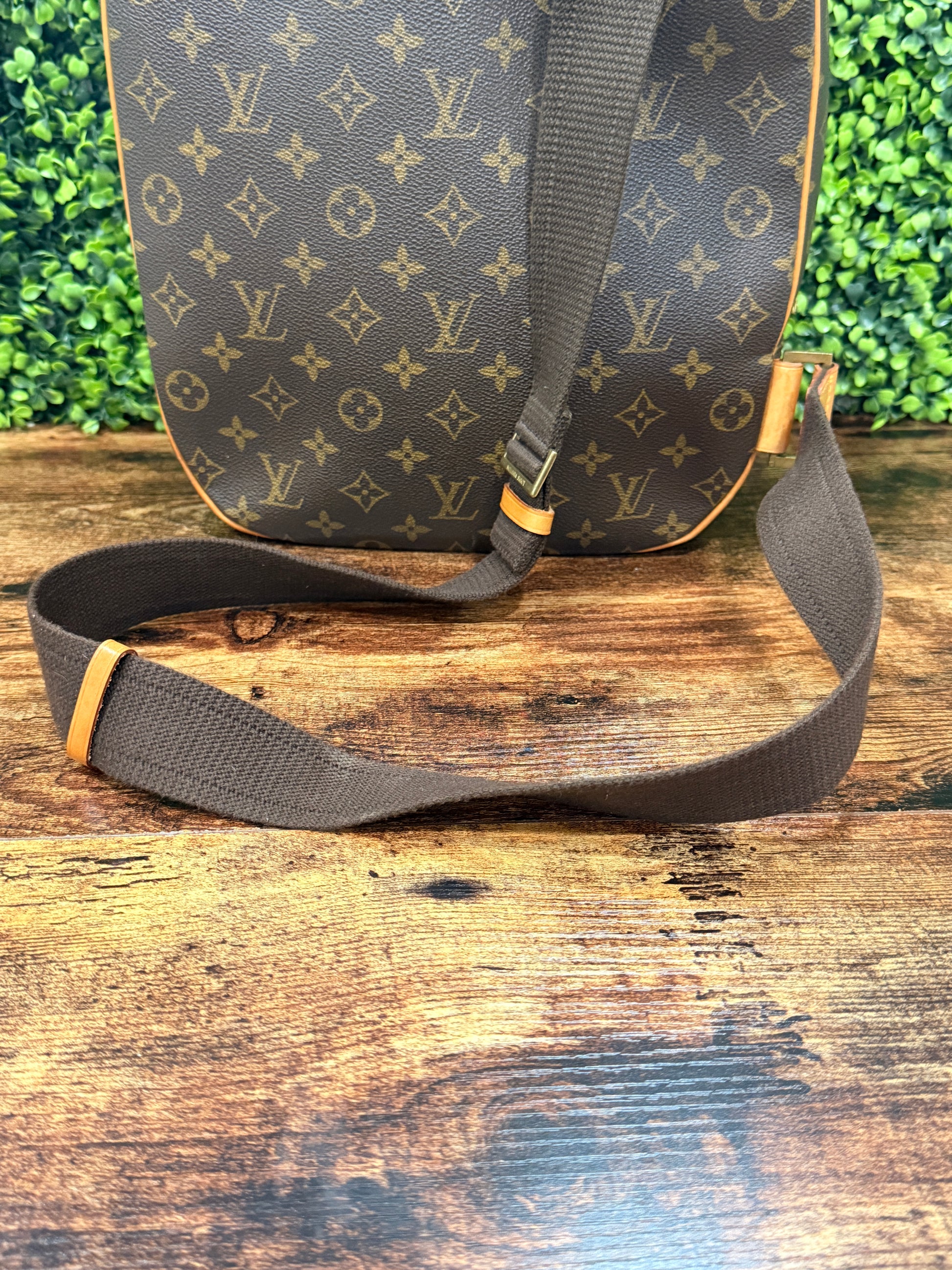 Louis Vuitton Sac Dos Packall
