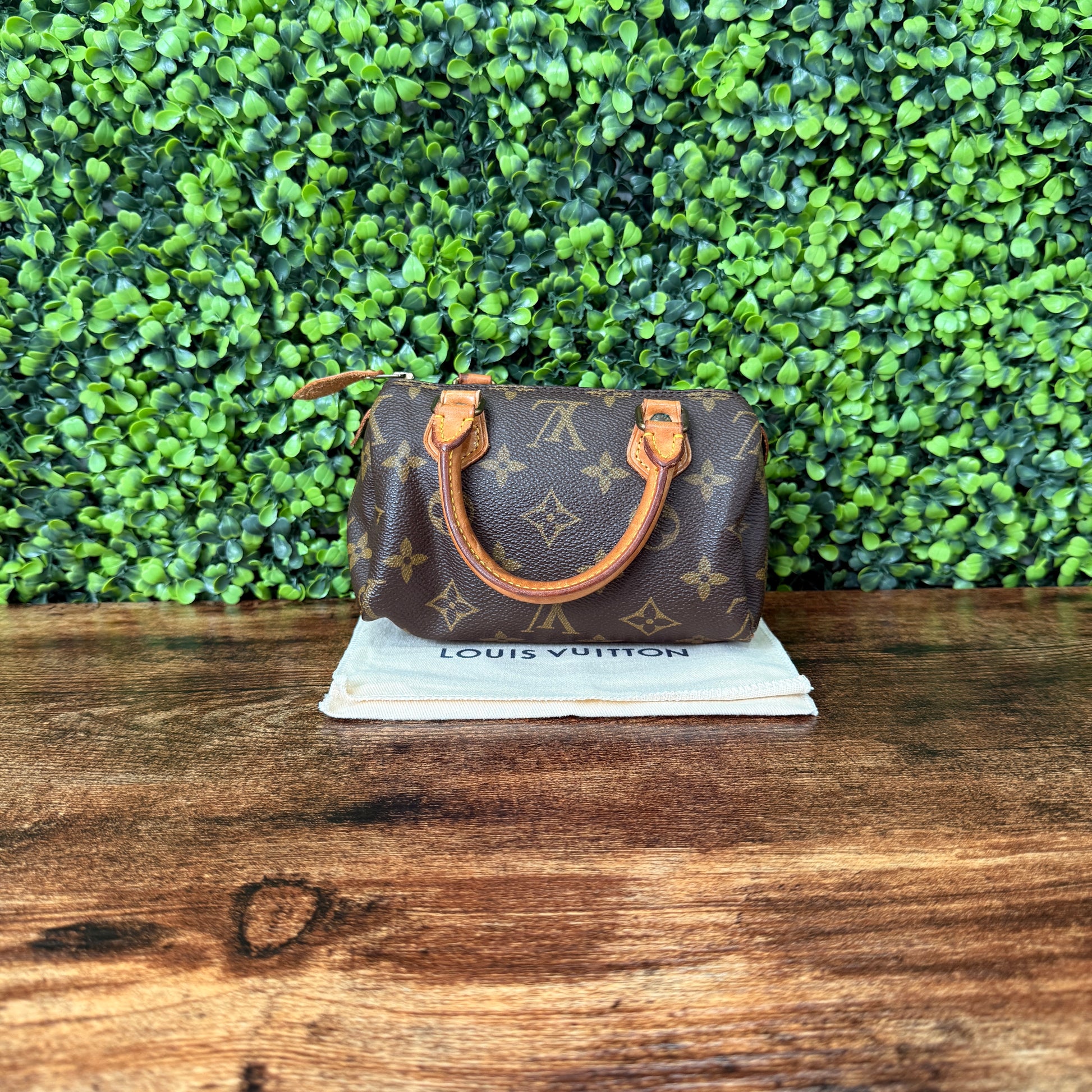 Louis Vuitton Monogram Mini Speedy