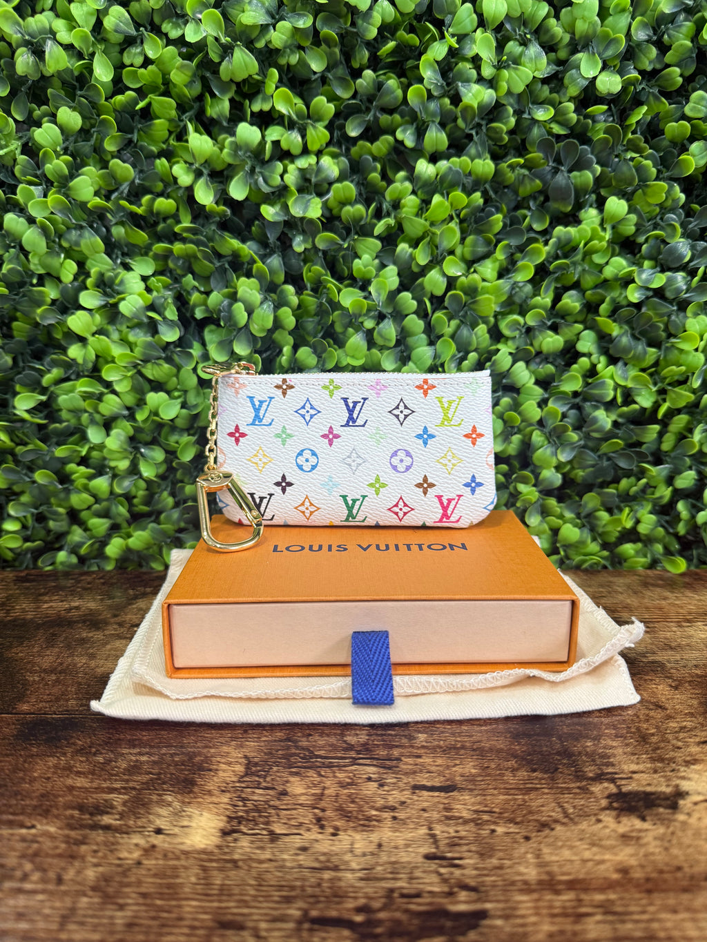 Louis Vuitton Pochette Cless Multicolor
