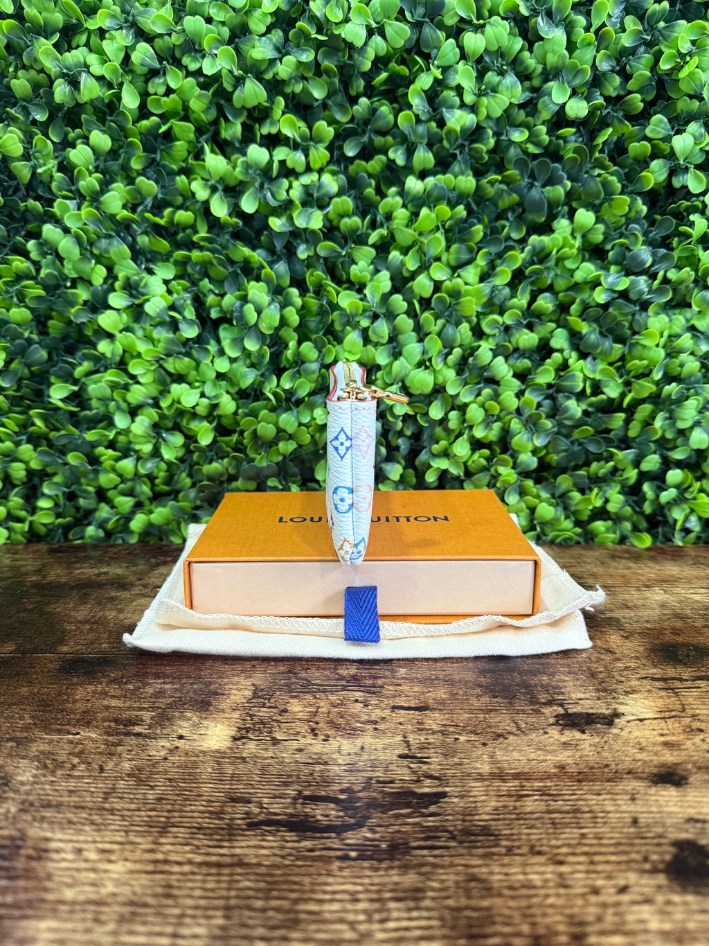 Louis Vuitton Pochette Cless Multicolor