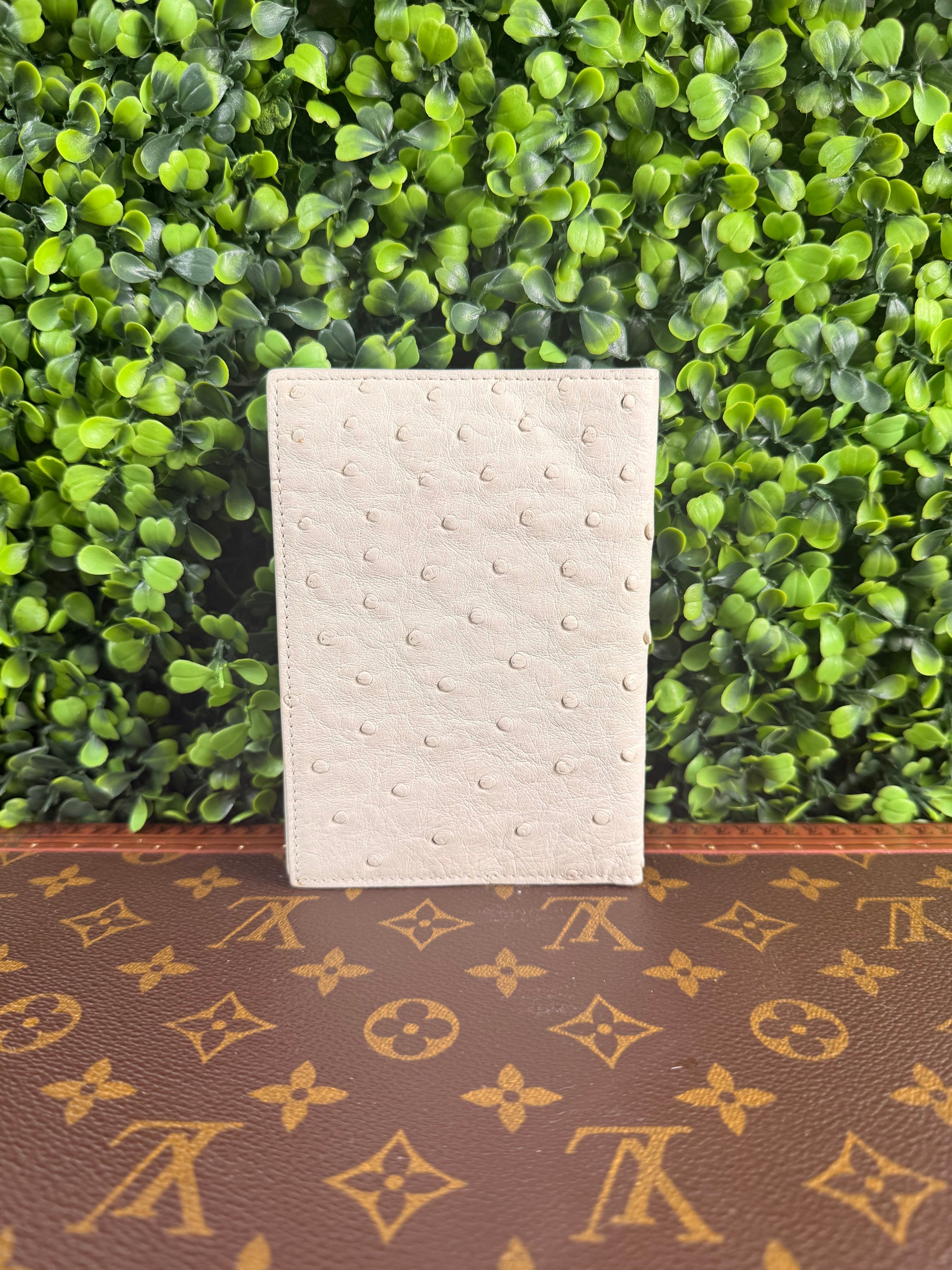 Bottega Venetta Ostrich Passport Holder