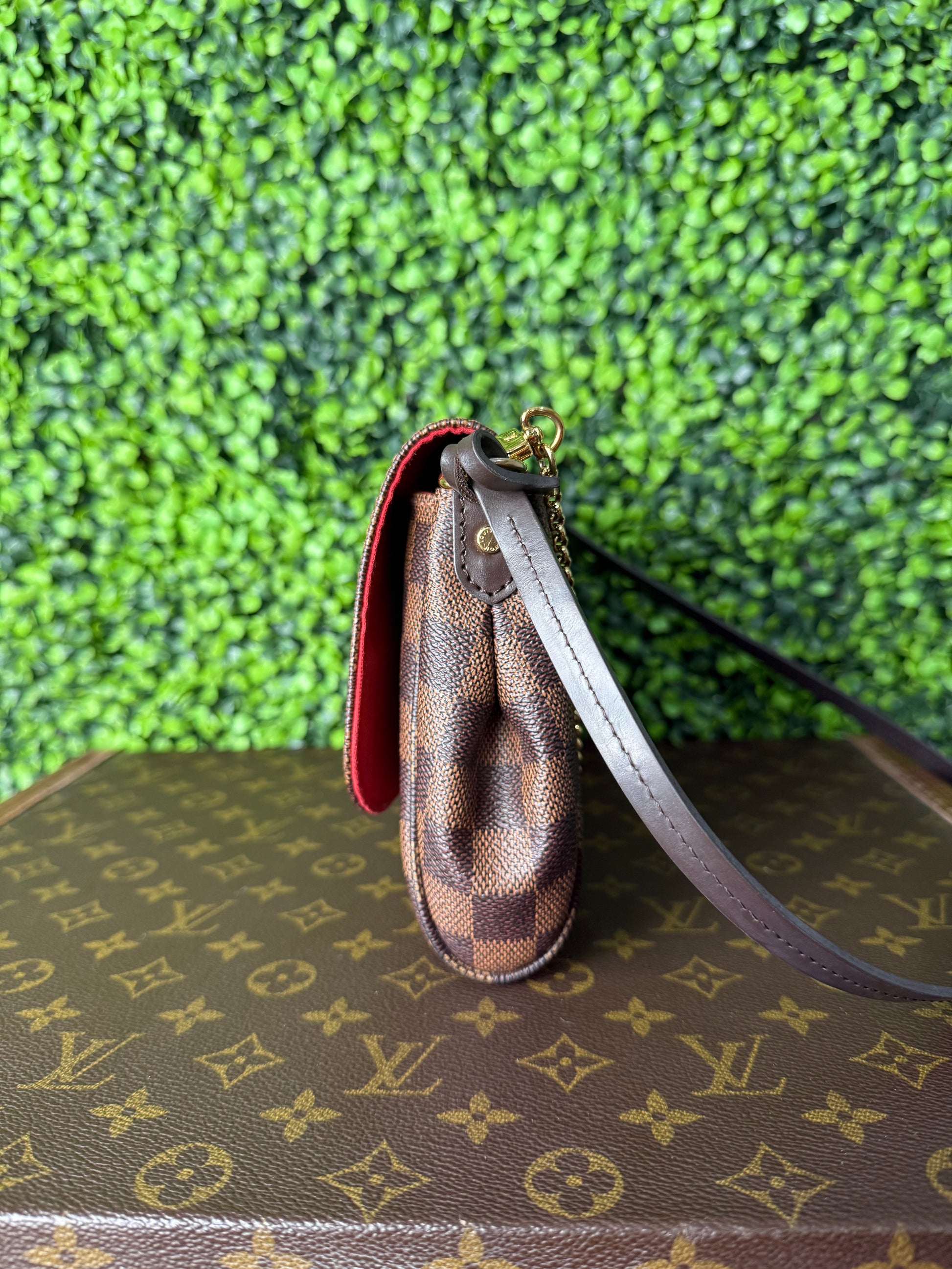 Louis Vuitton Favorite MM Monogram