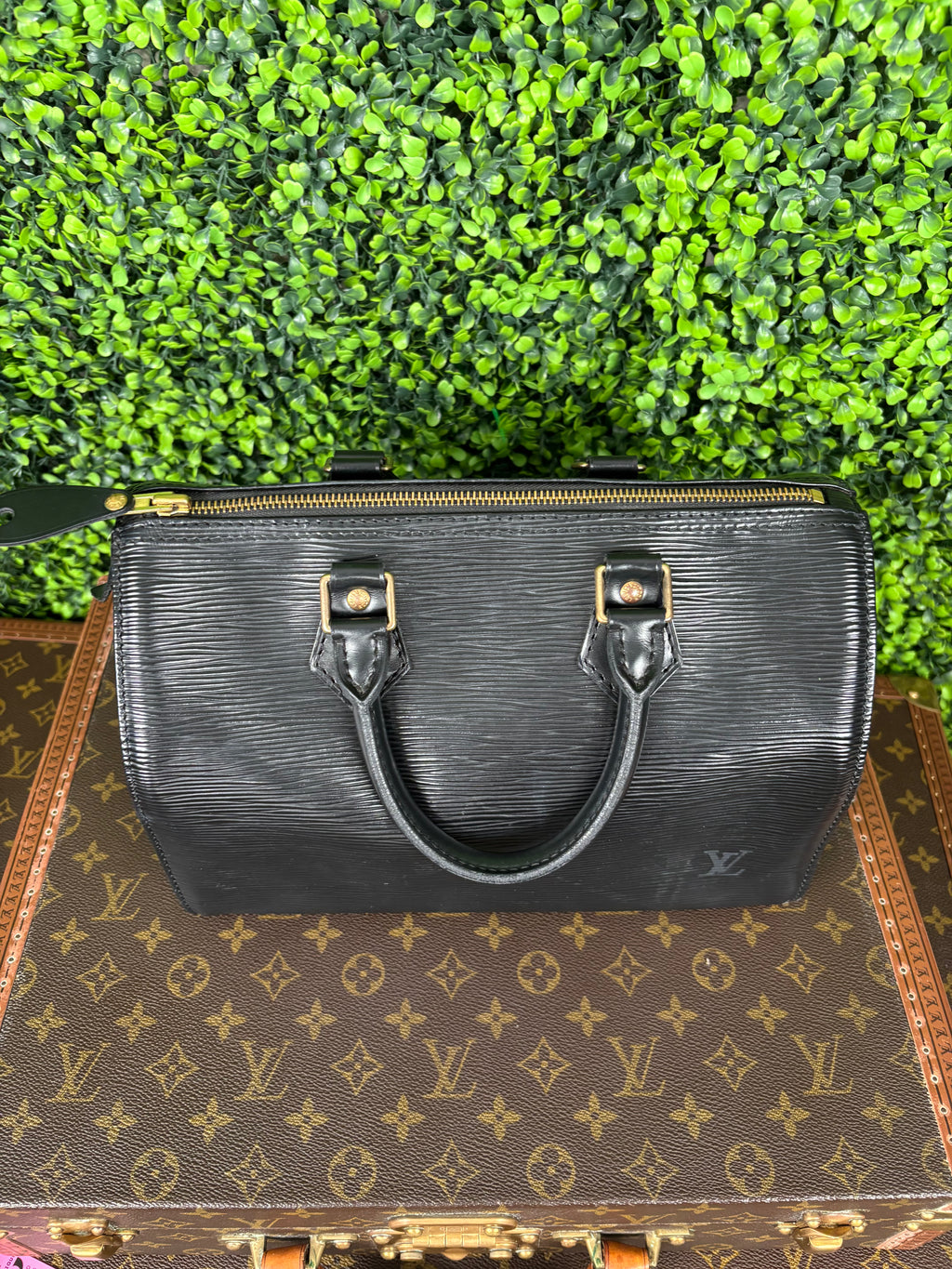 Louis Vuitton Black Speedy 25 Epi Leather